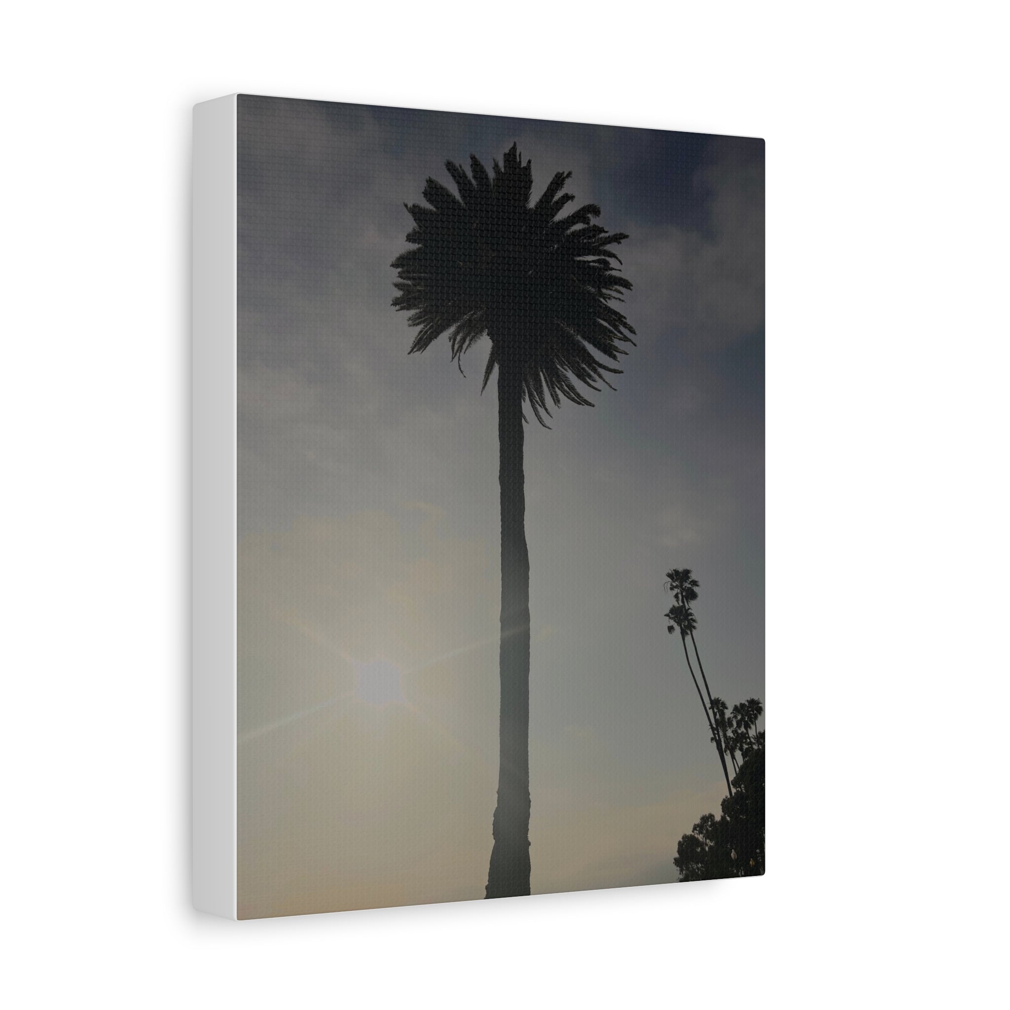 Palm Tree Canvas Print