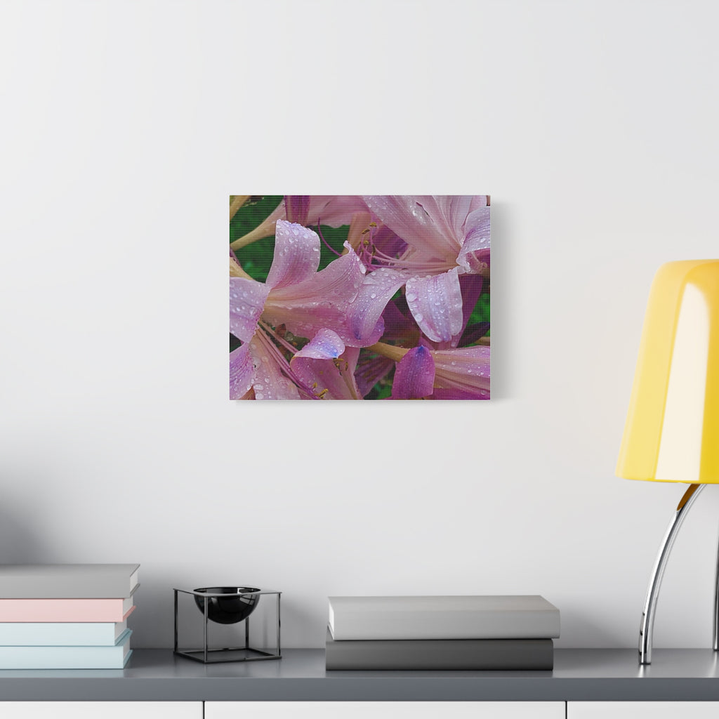 Rainy Pink Lilies Canvas Print
