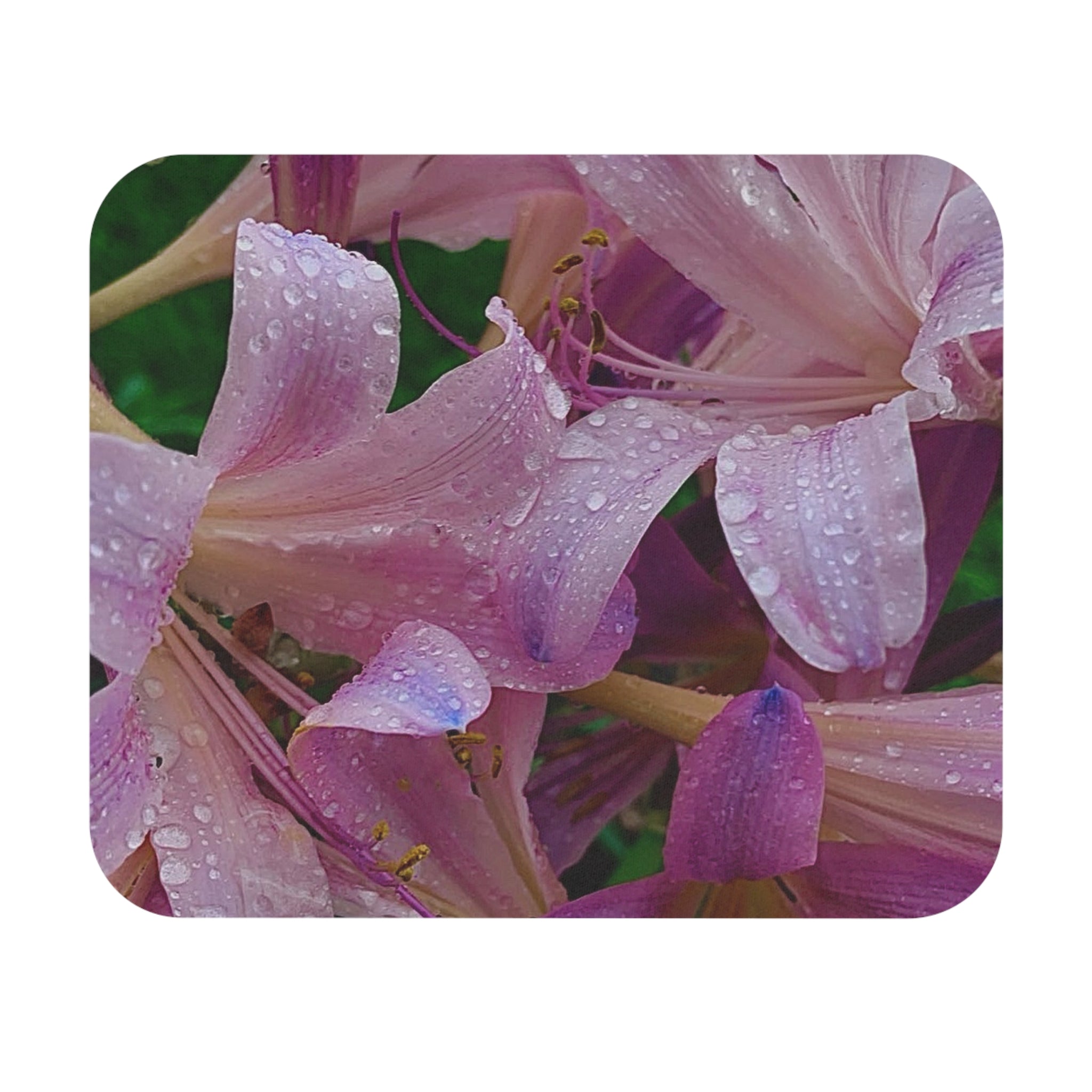 Rainy Pink Lily Mouse Pad