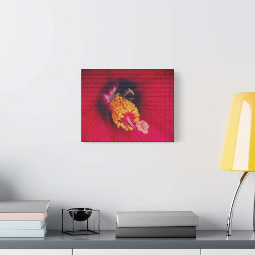 Sleeping Bee Canvas Print