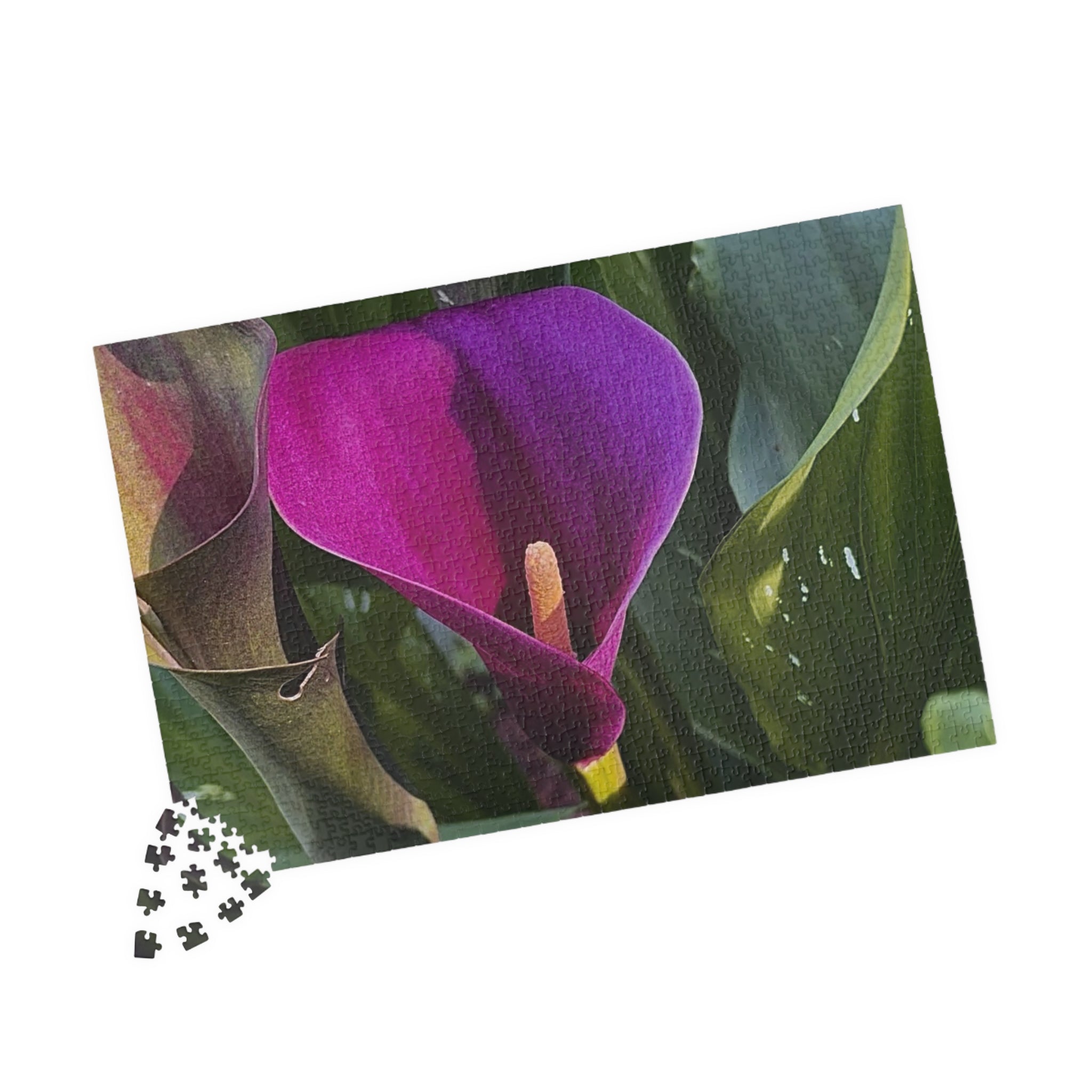 Purple Calla Lily Jigsaw Puzzle