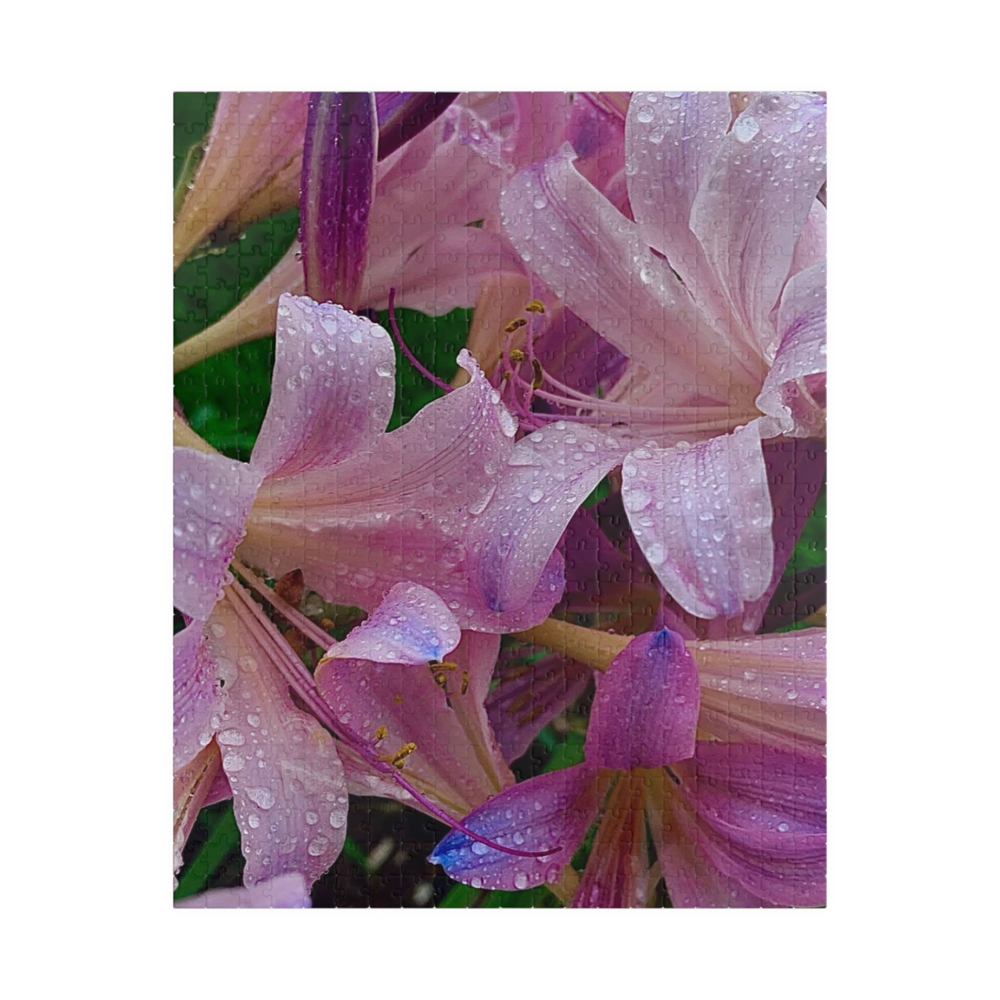 Rainy Pink Lilies Jigsaw Puzzle