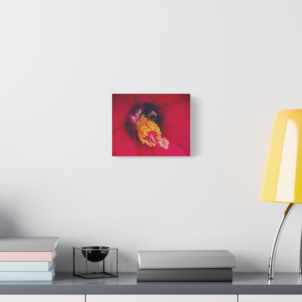 Sleeping Bee Canvas Print