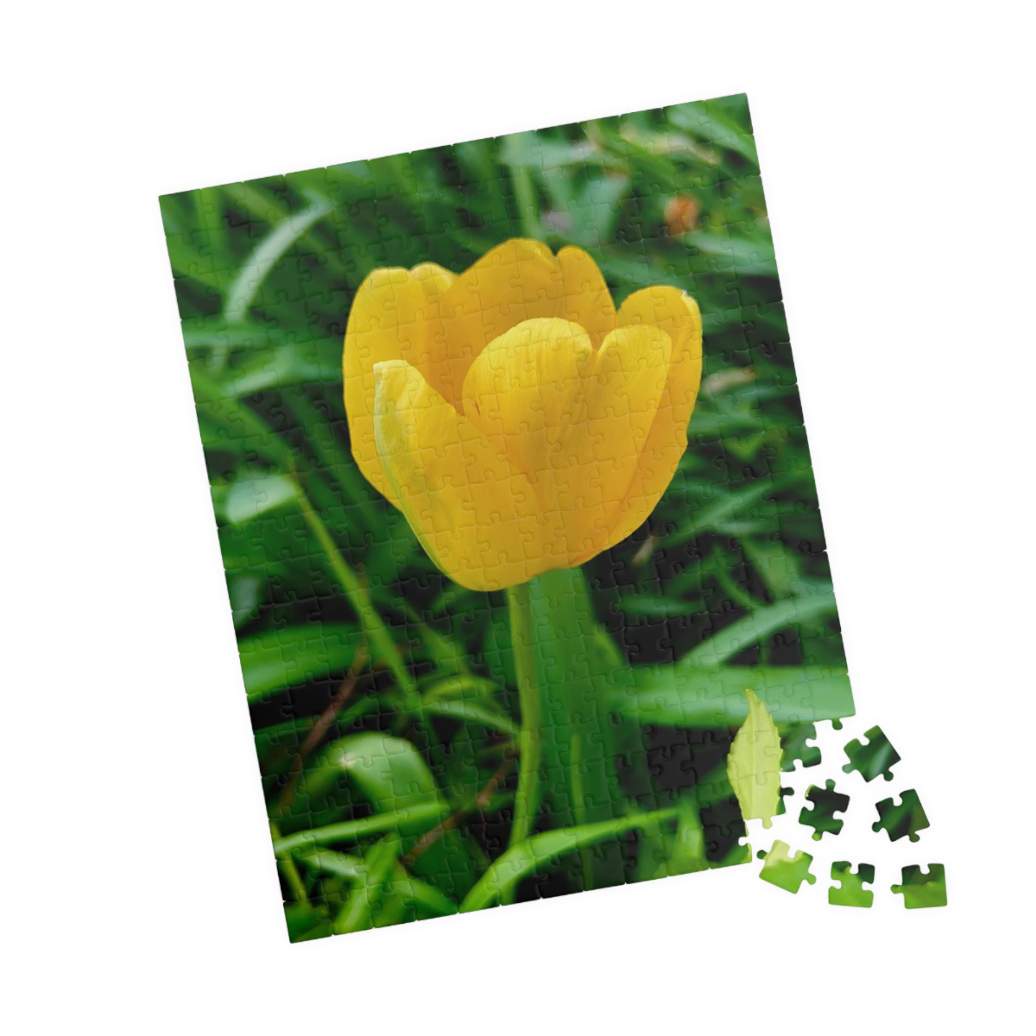 Yellow Tulip Jigsaw Puzzle