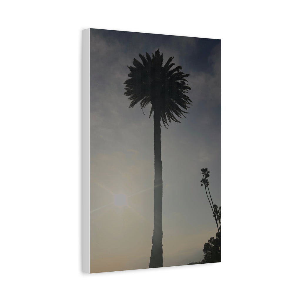 Palm Tree Canvas Print