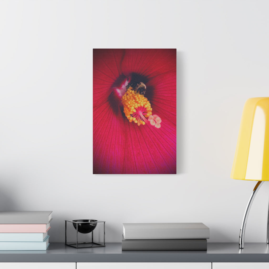Sleeping Bee Canvas Print