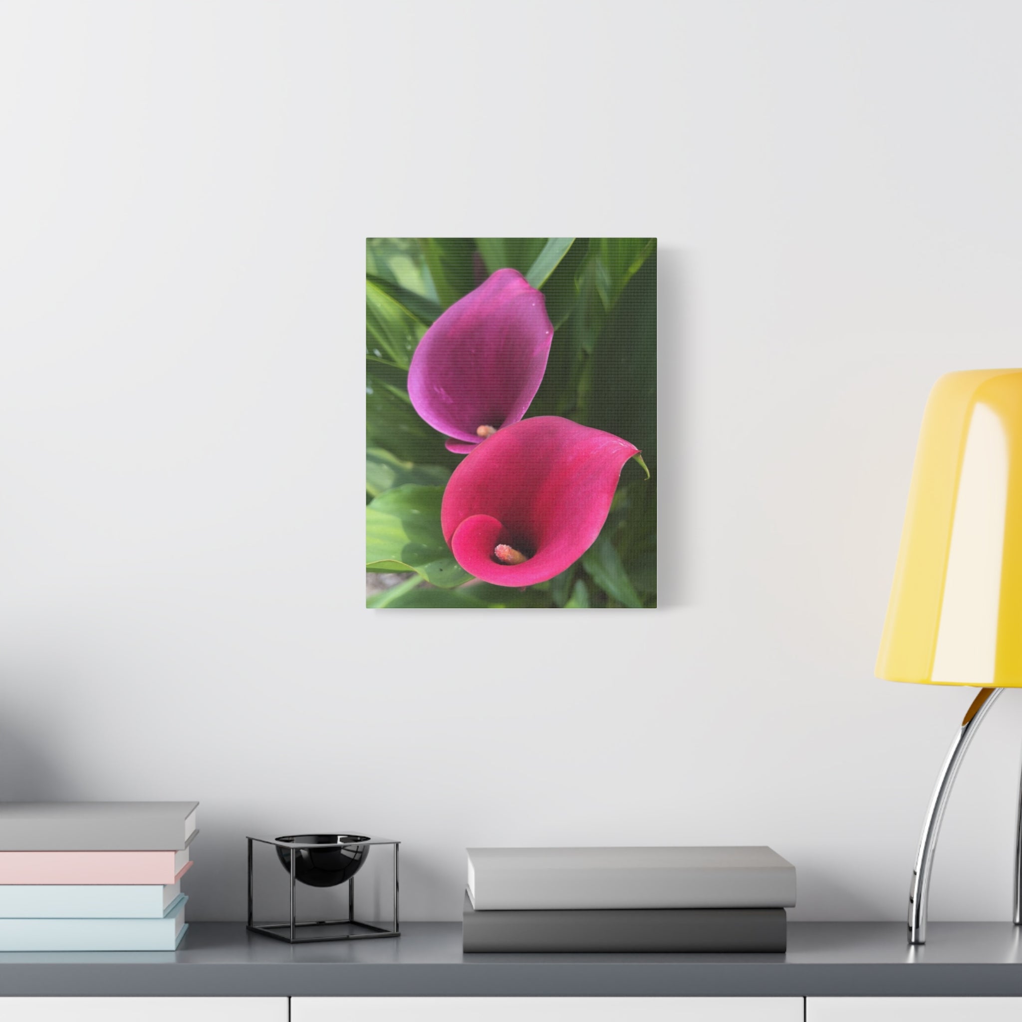 Two Pink Calla Lilies Canvas Print