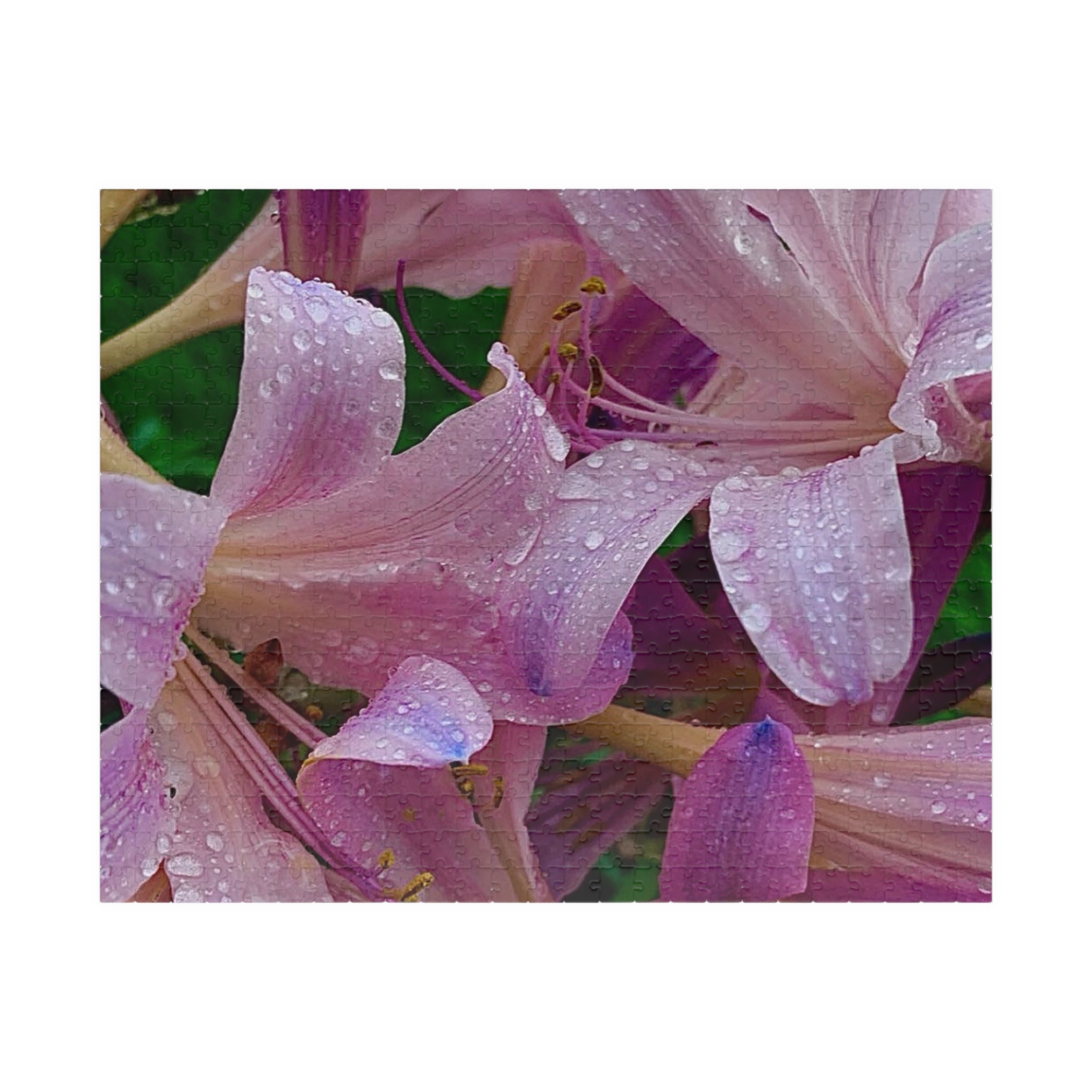 Rainy Pink Lilies Jigsaw Puzzle