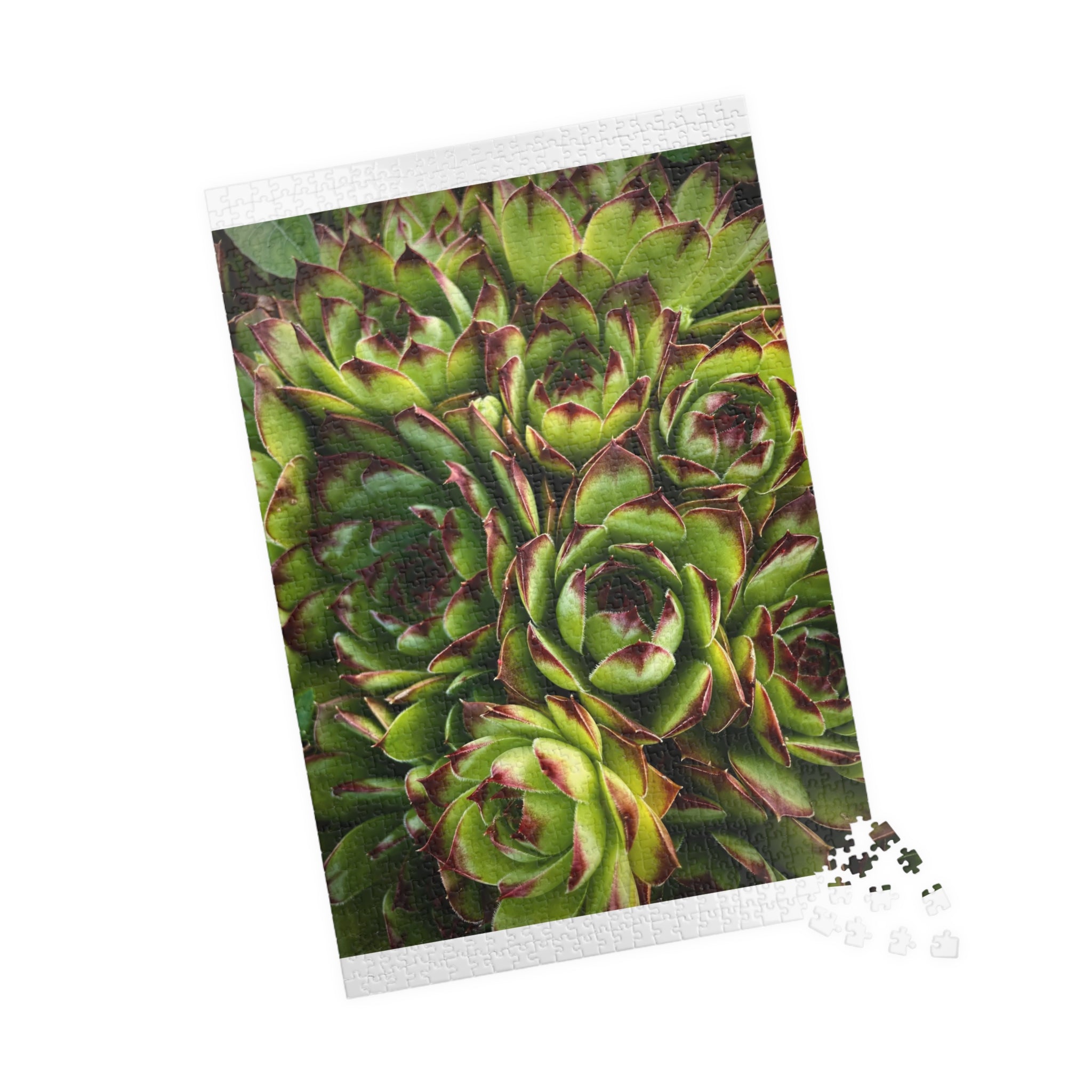 Succulent Garden Jigsaw Puzzle