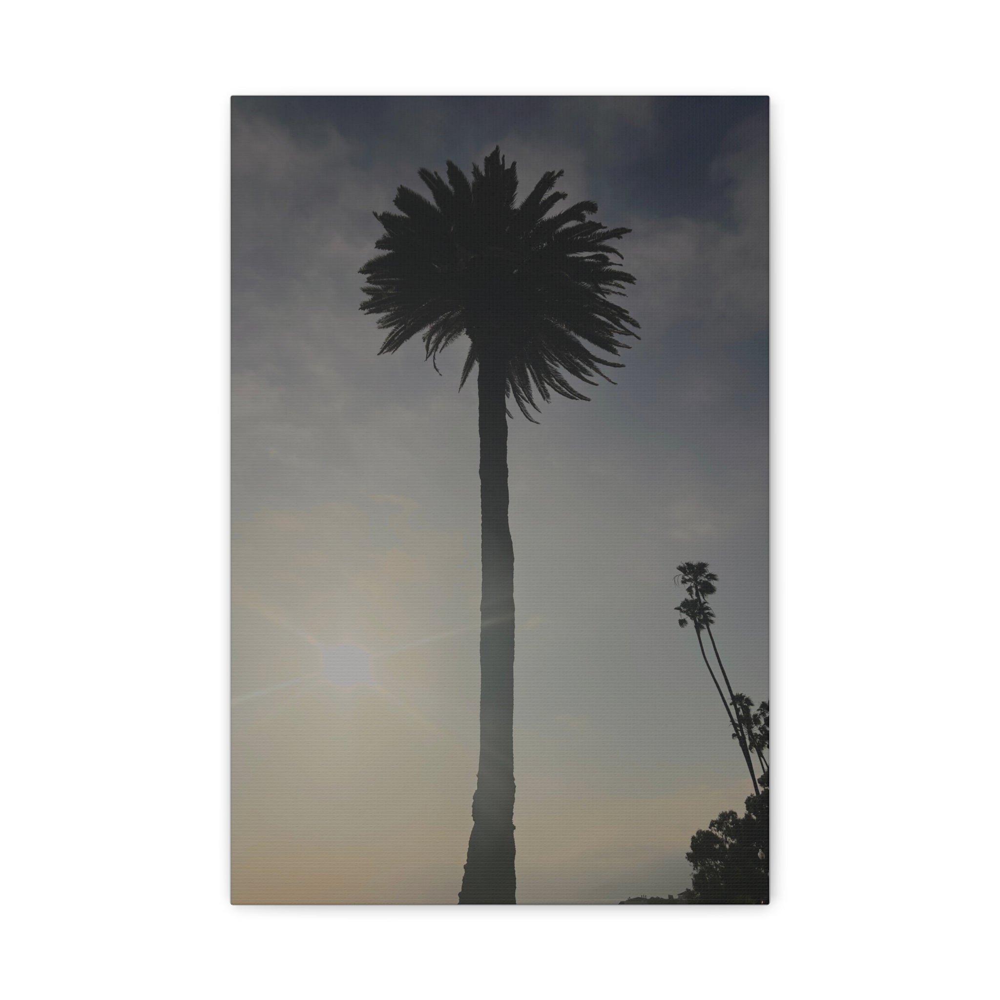 Palm Tree Canvas Print
