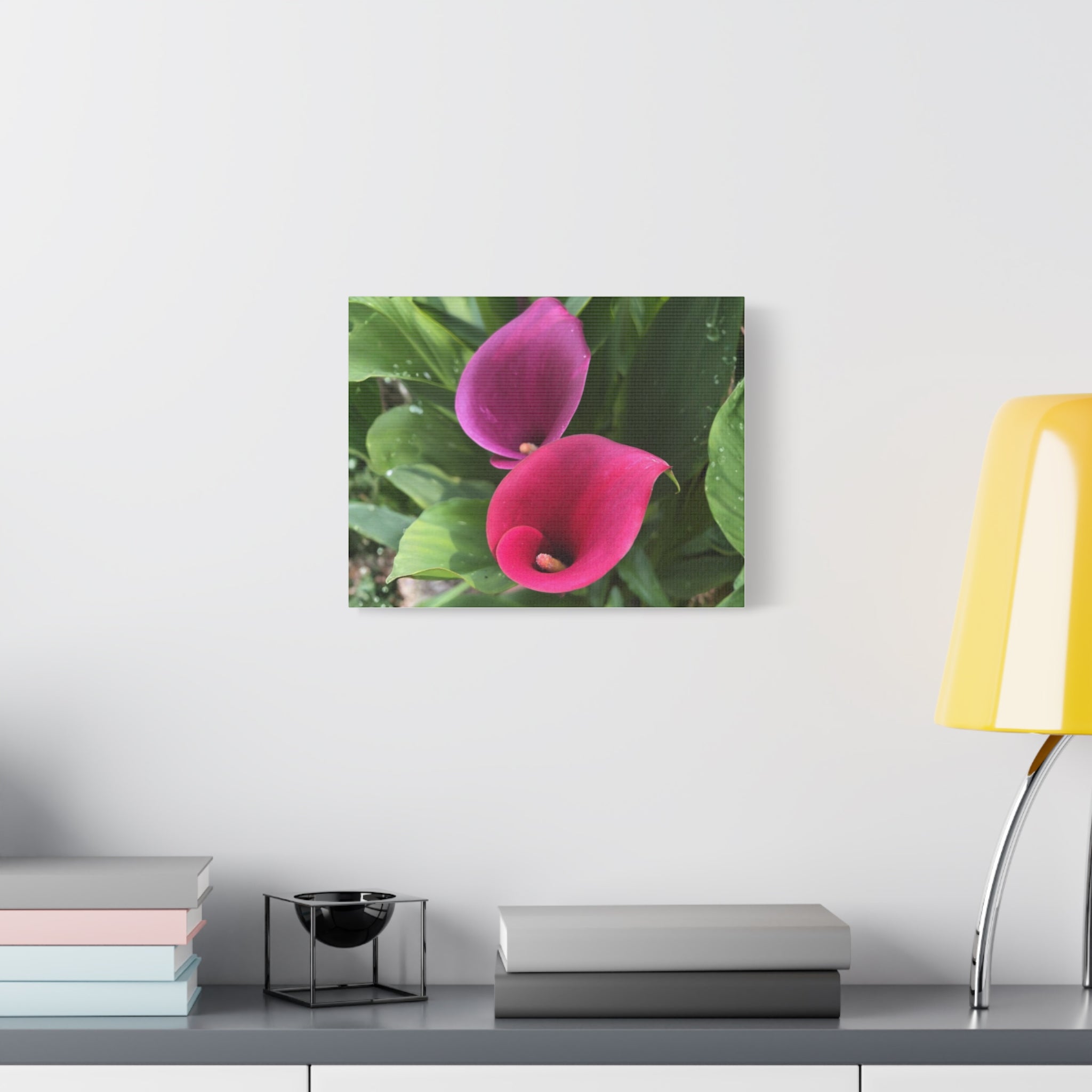 Two Pink Calla Lilies Canvas Print