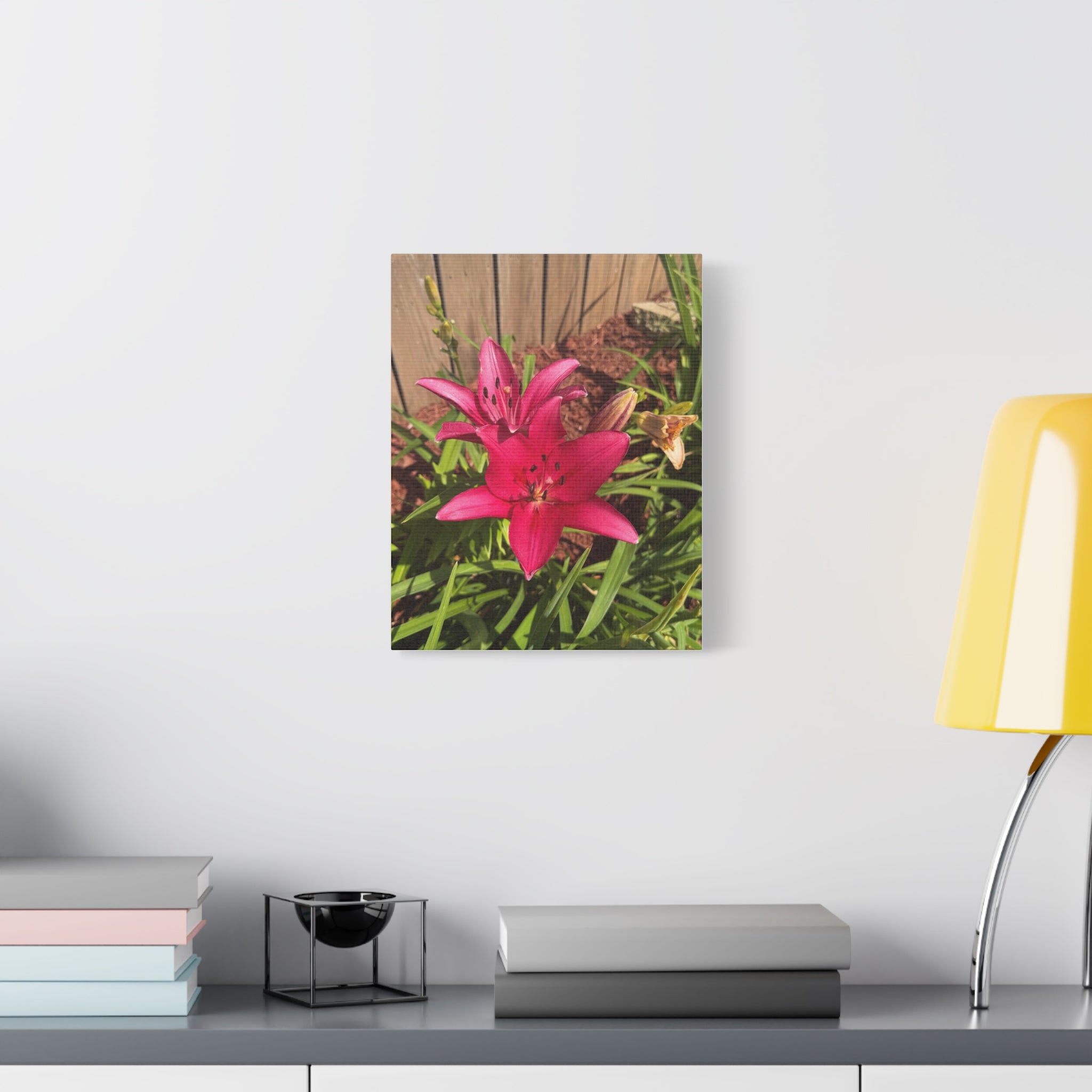 Pink Asiatic Lily Canvas Print