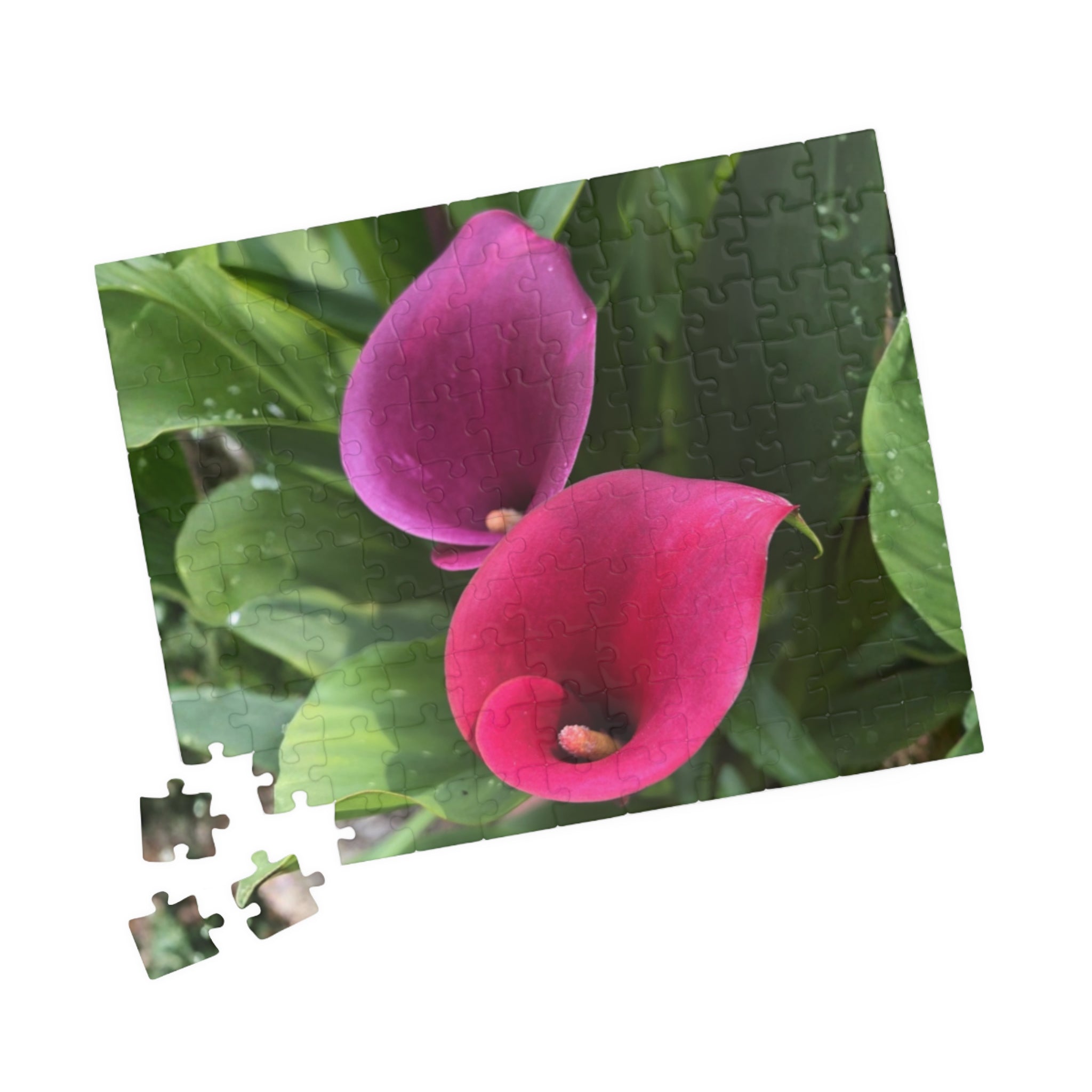 Two Pink Calla Lilies Jigsaw Puzzle