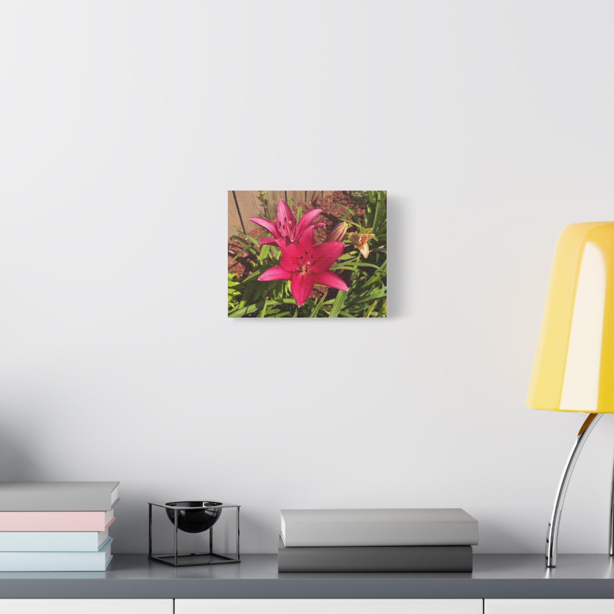 Pink Asiatic Lily Canvas Print