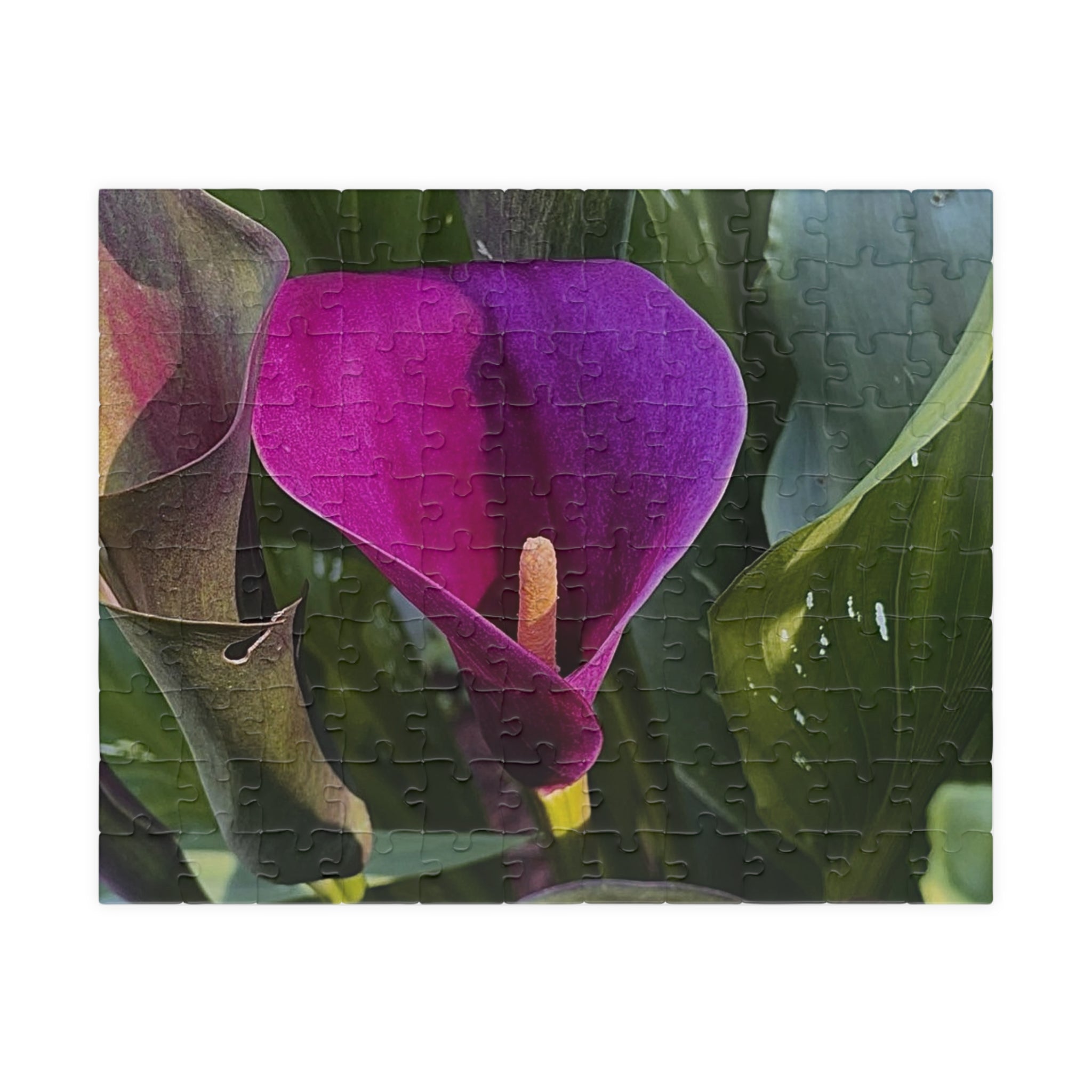 Purple Calla Lily Jigsaw Puzzle