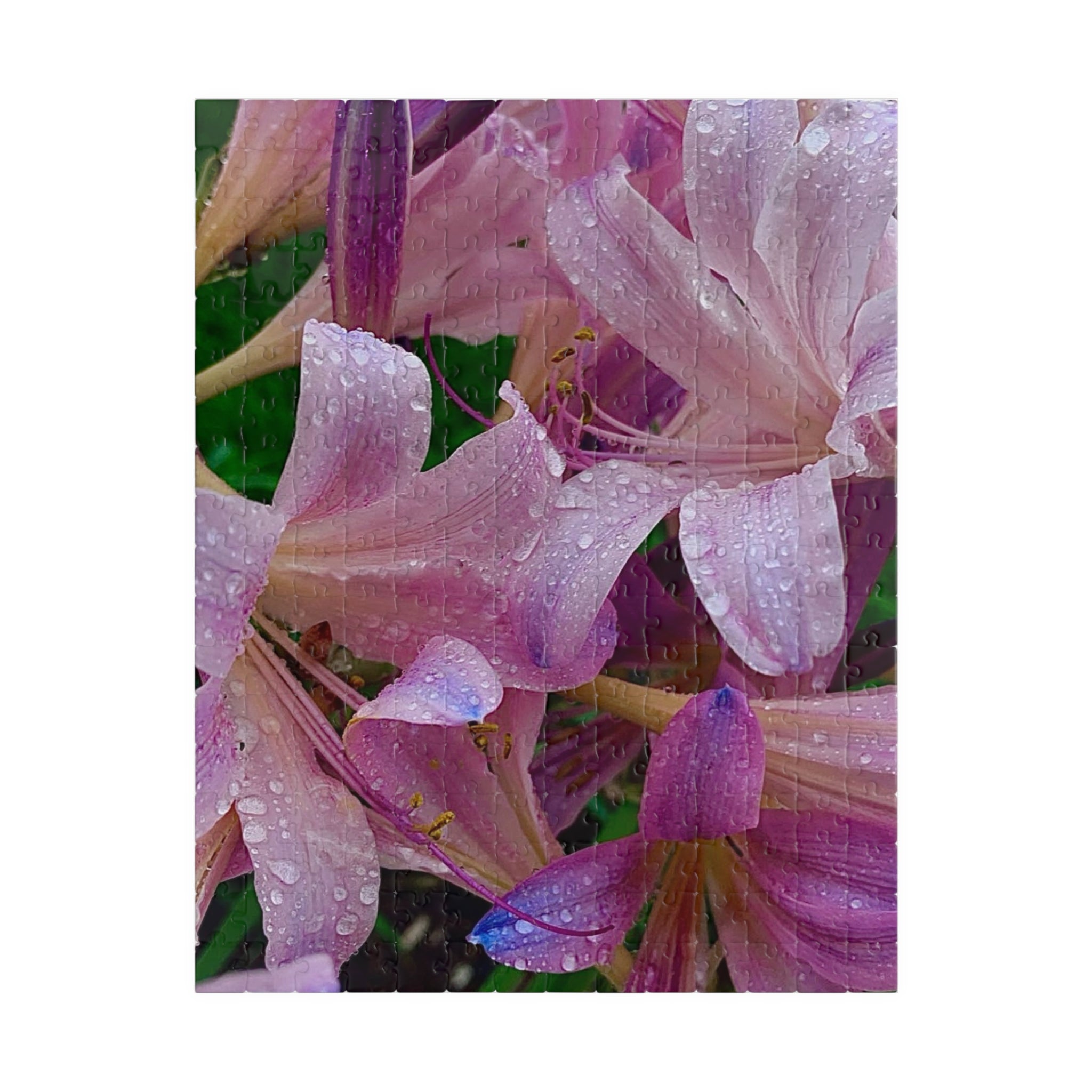 Rainy Pink Lilies Jigsaw Puzzle