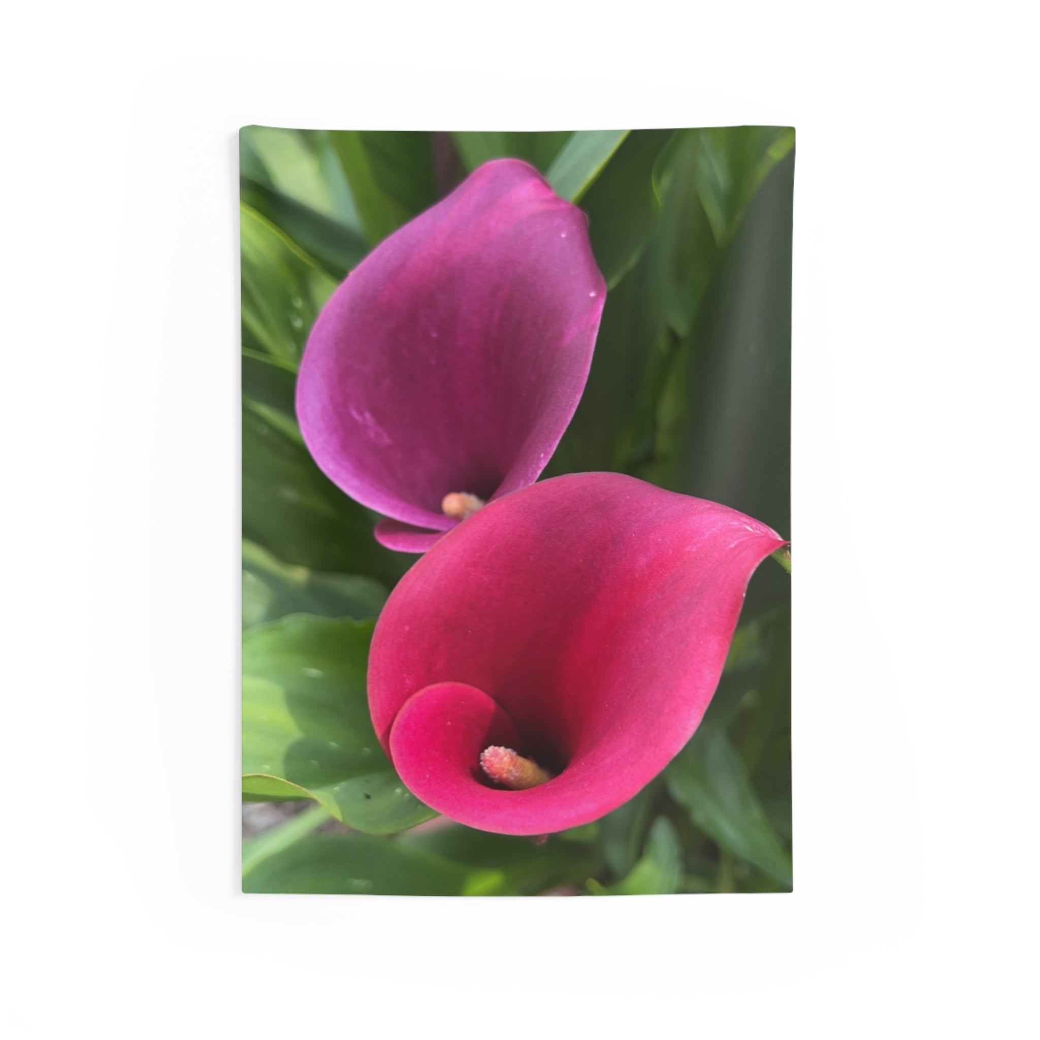 Two Calla Lilies Wall Tapestry