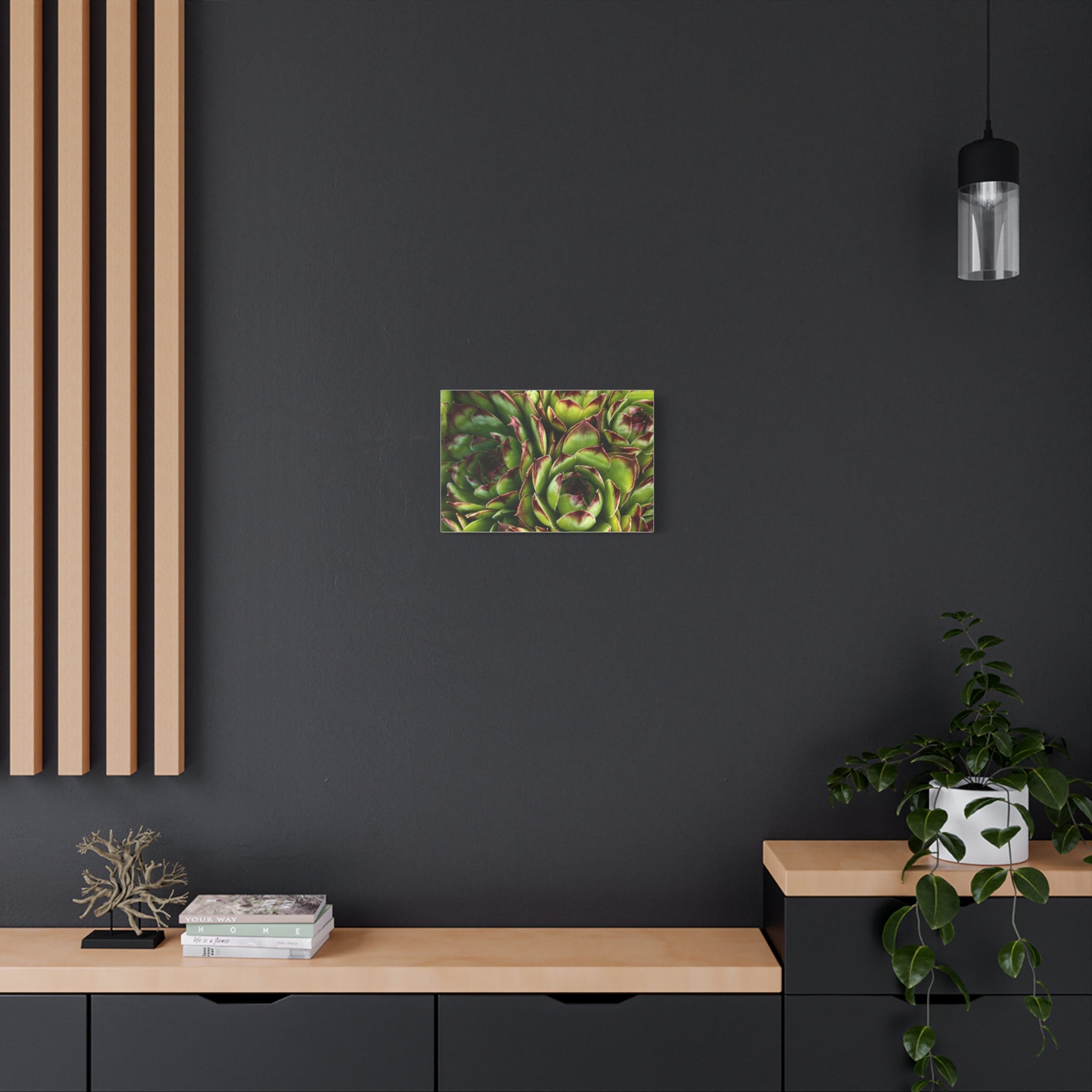 Succulent Garden Canvas Print