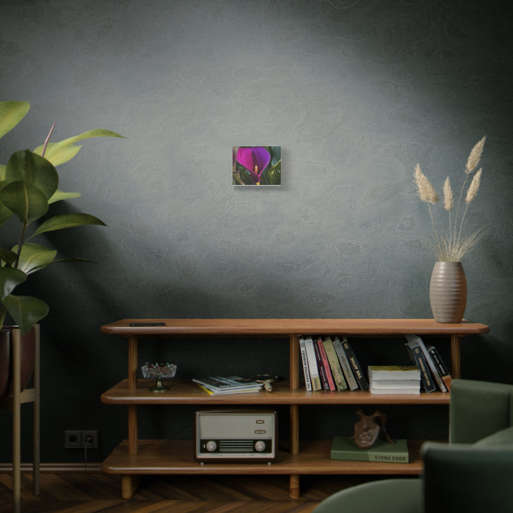 Purple Calla Lily Canvas Print