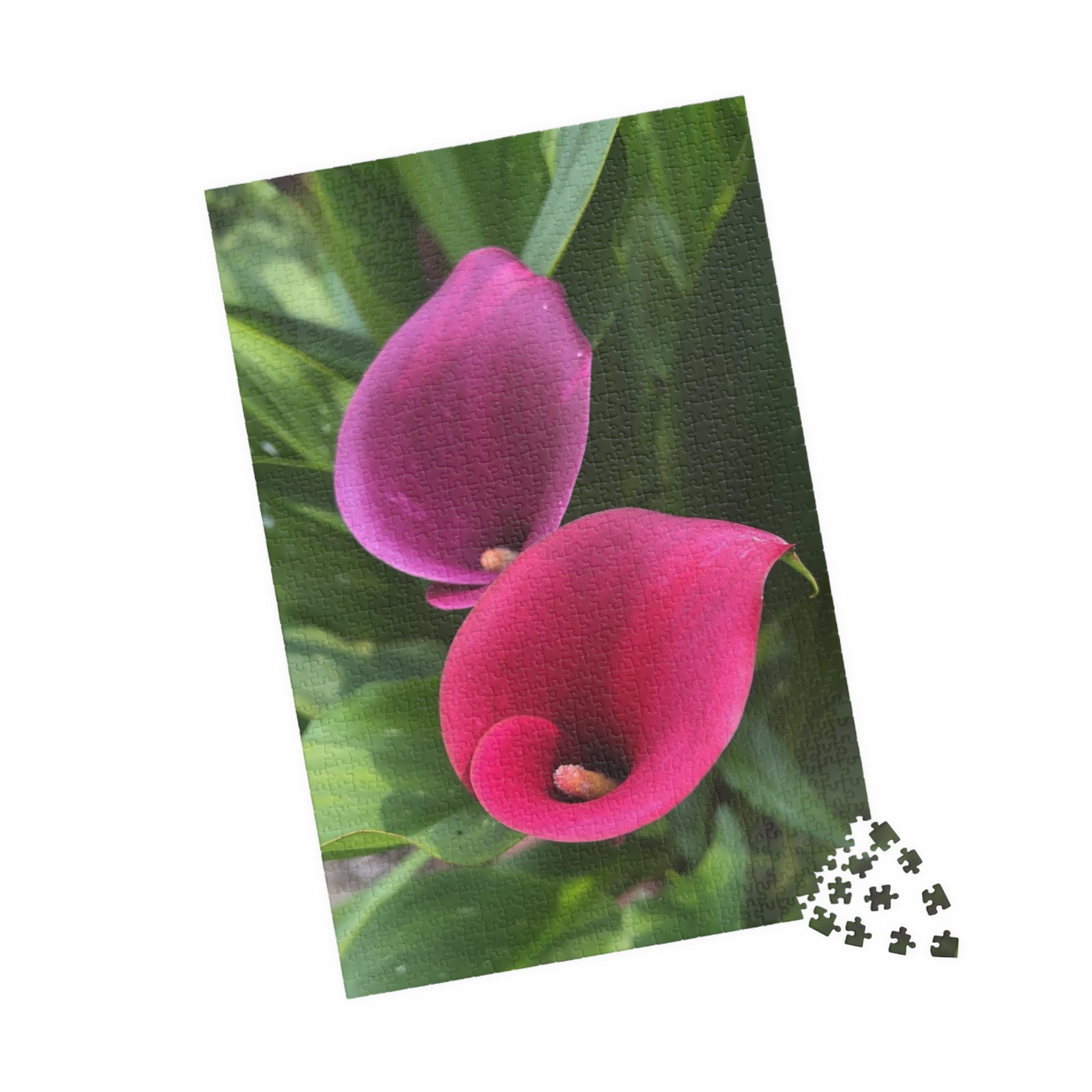 Two Pink Calla Lilies Jigsaw Puzzle