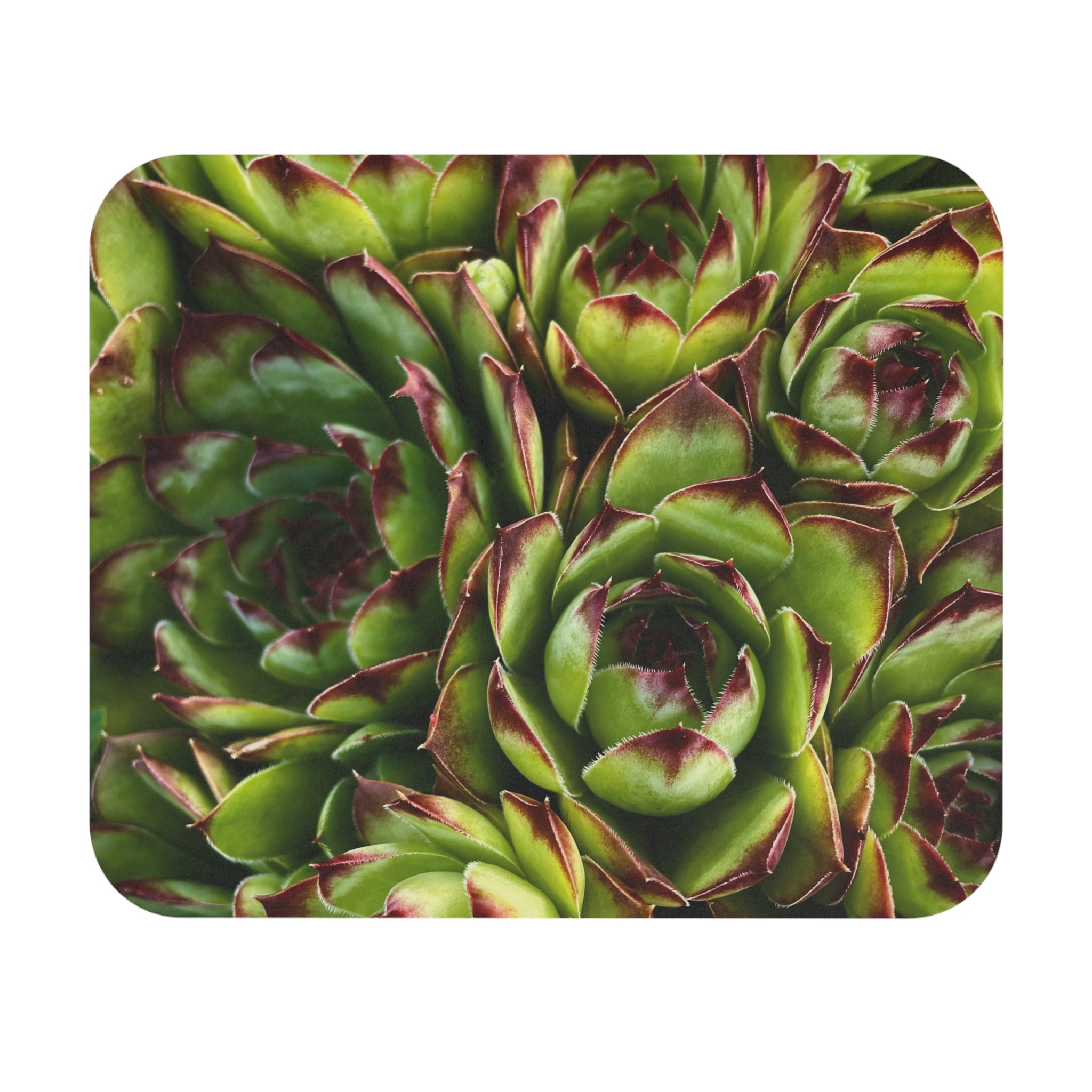 Succulent Garden Mouse Pad