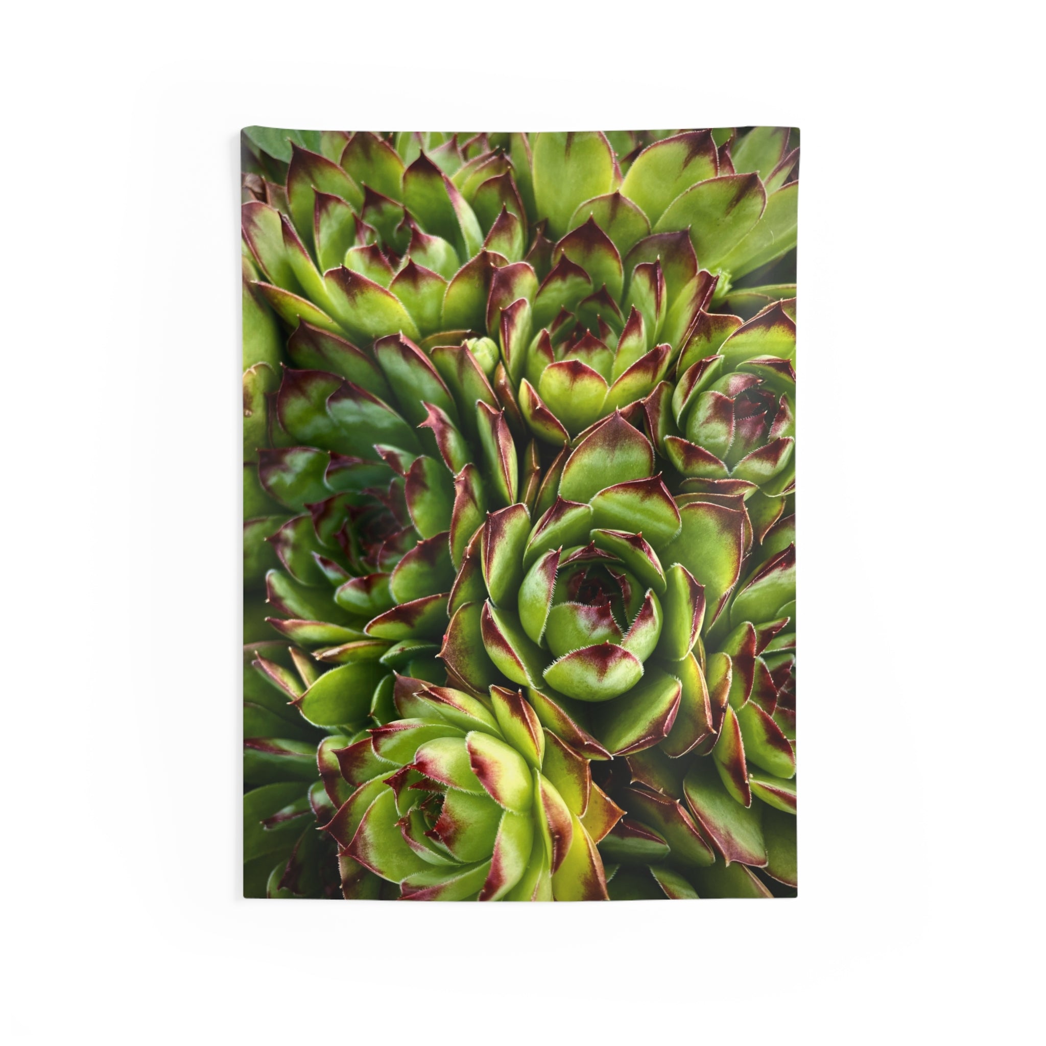 Succulent Garden Tapestry
