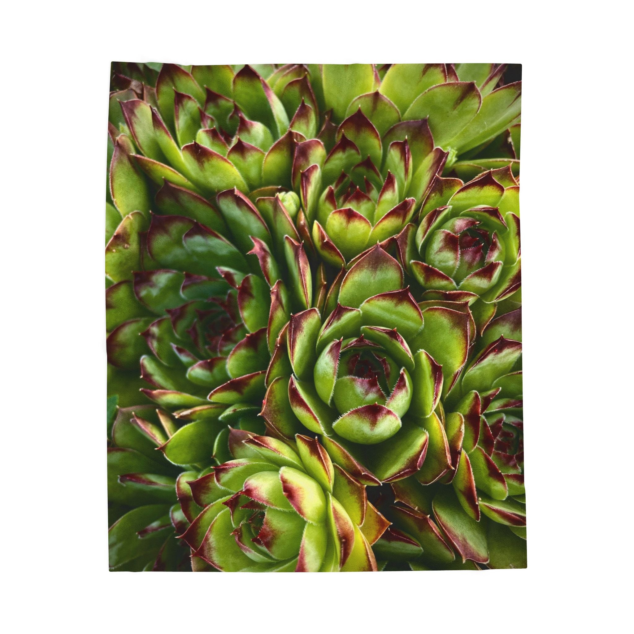 Succulent Garden Throw Blanket