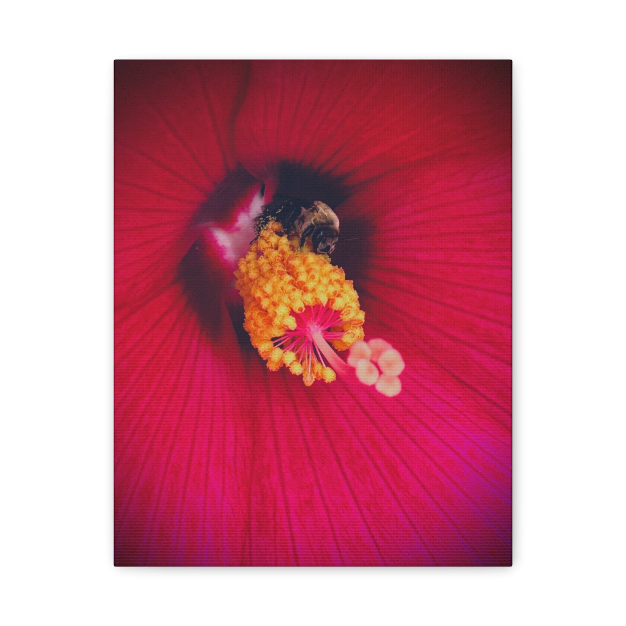 Sleeping Bee Canvas Print