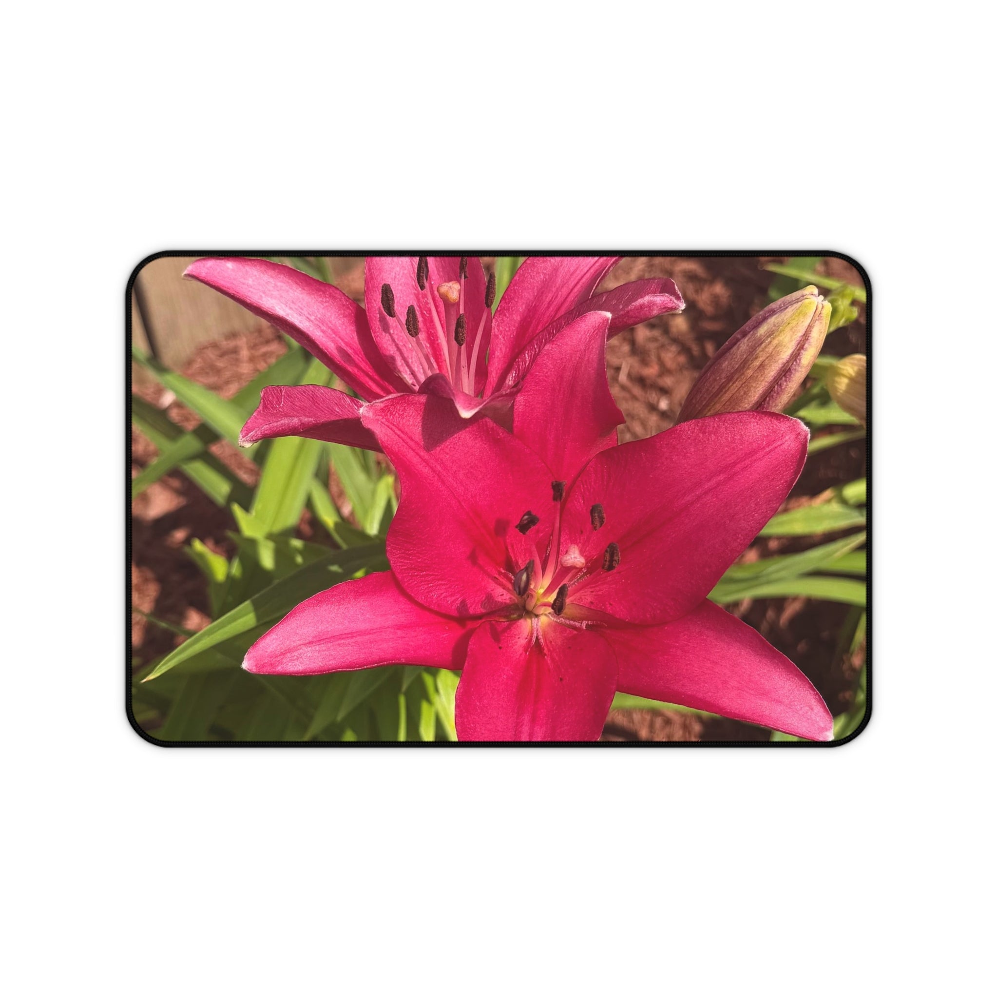 Pink Asiatic Lily Desk Mat
