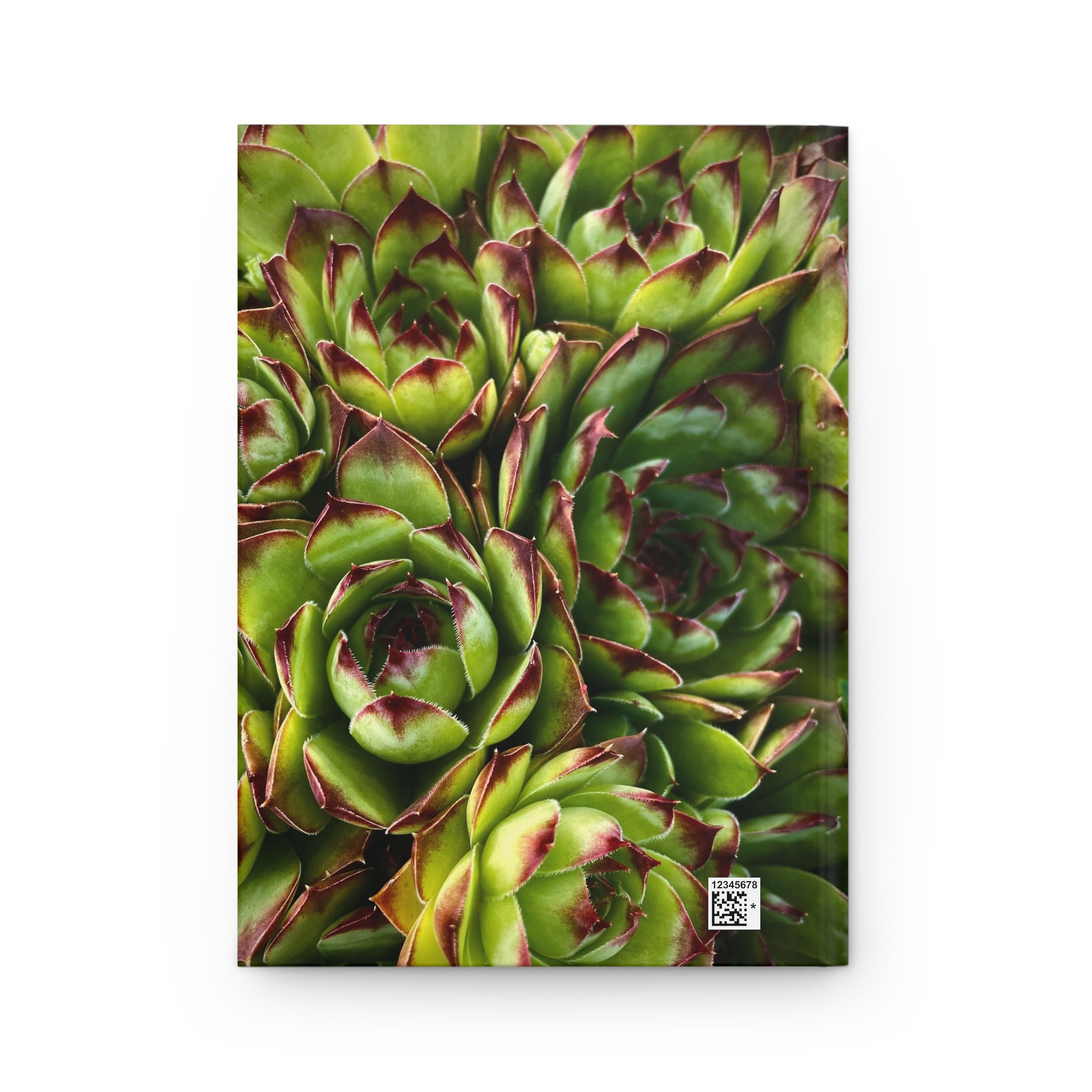Succulent Garden Hardcover Journal