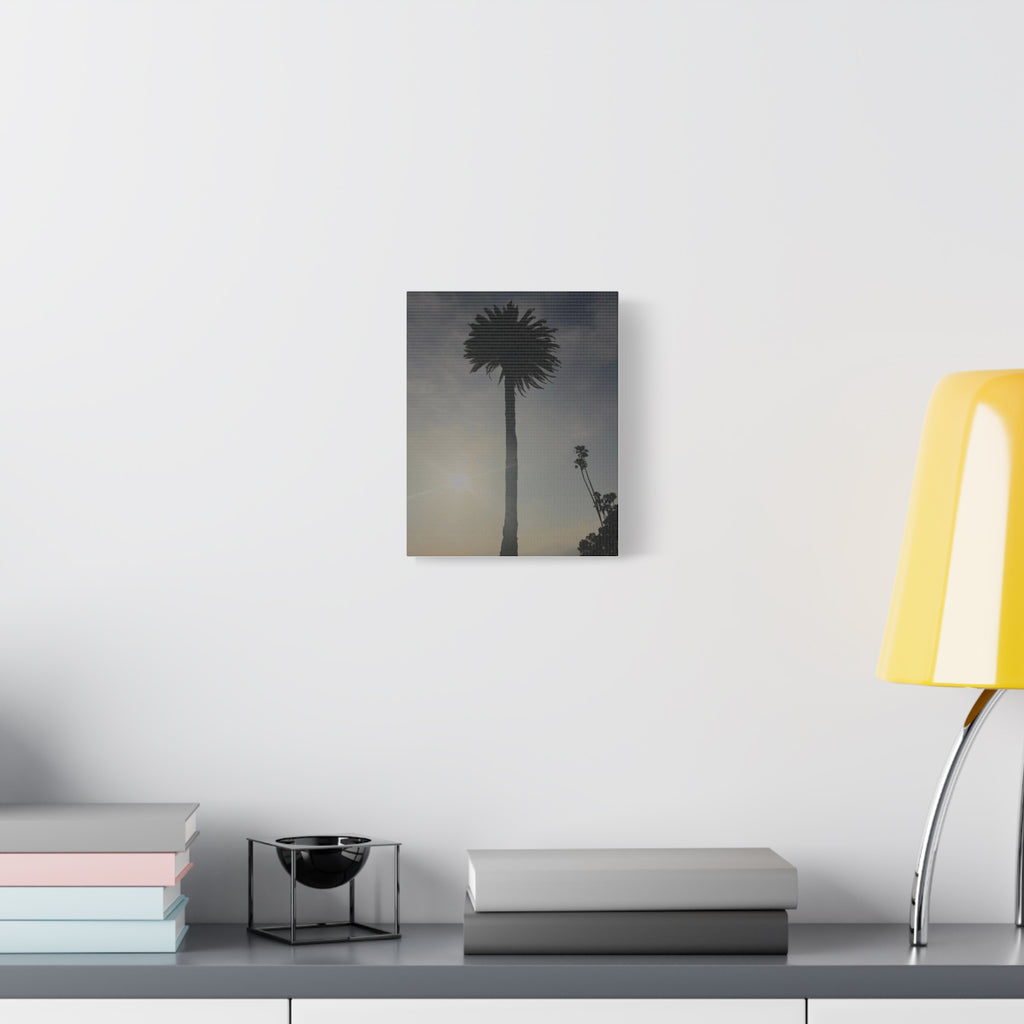 Palm Tree Canvas Print
