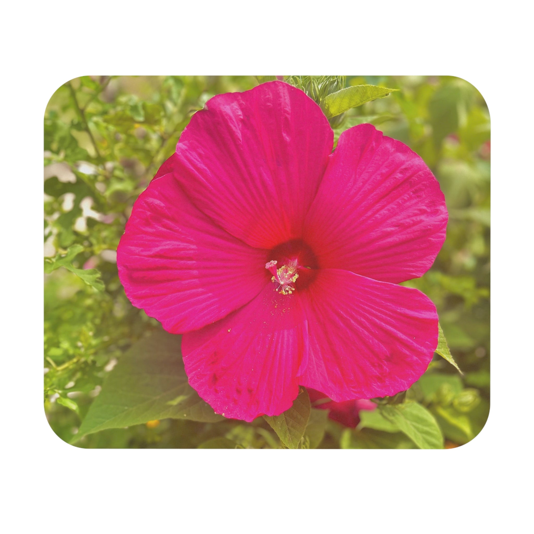 Hot Pink Hibiscus Mouse Pad