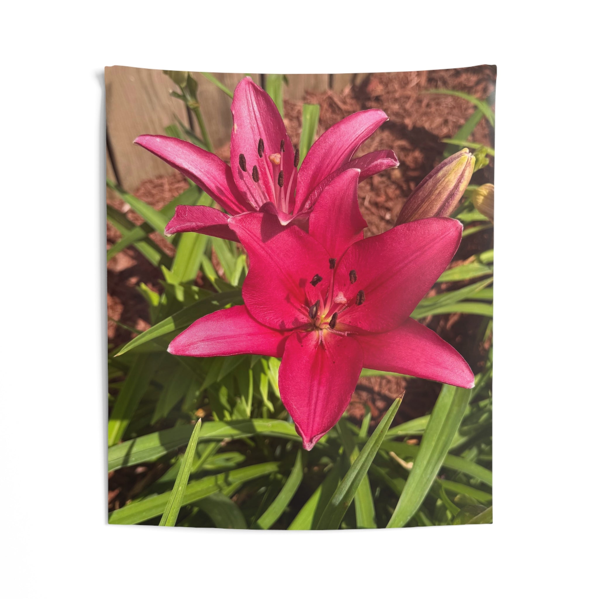 Pink Asiatic Lily Wall Tapestry