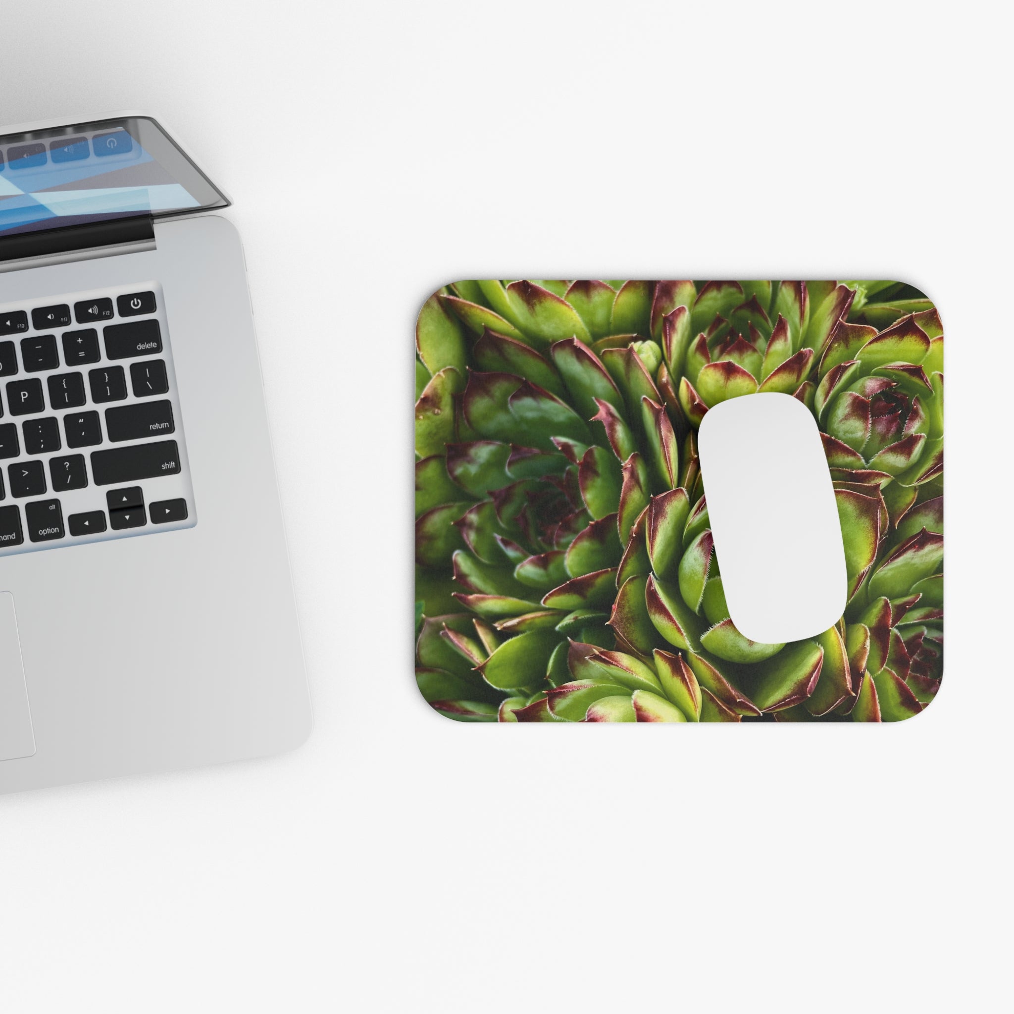 Succulent Garden Mouse Pad