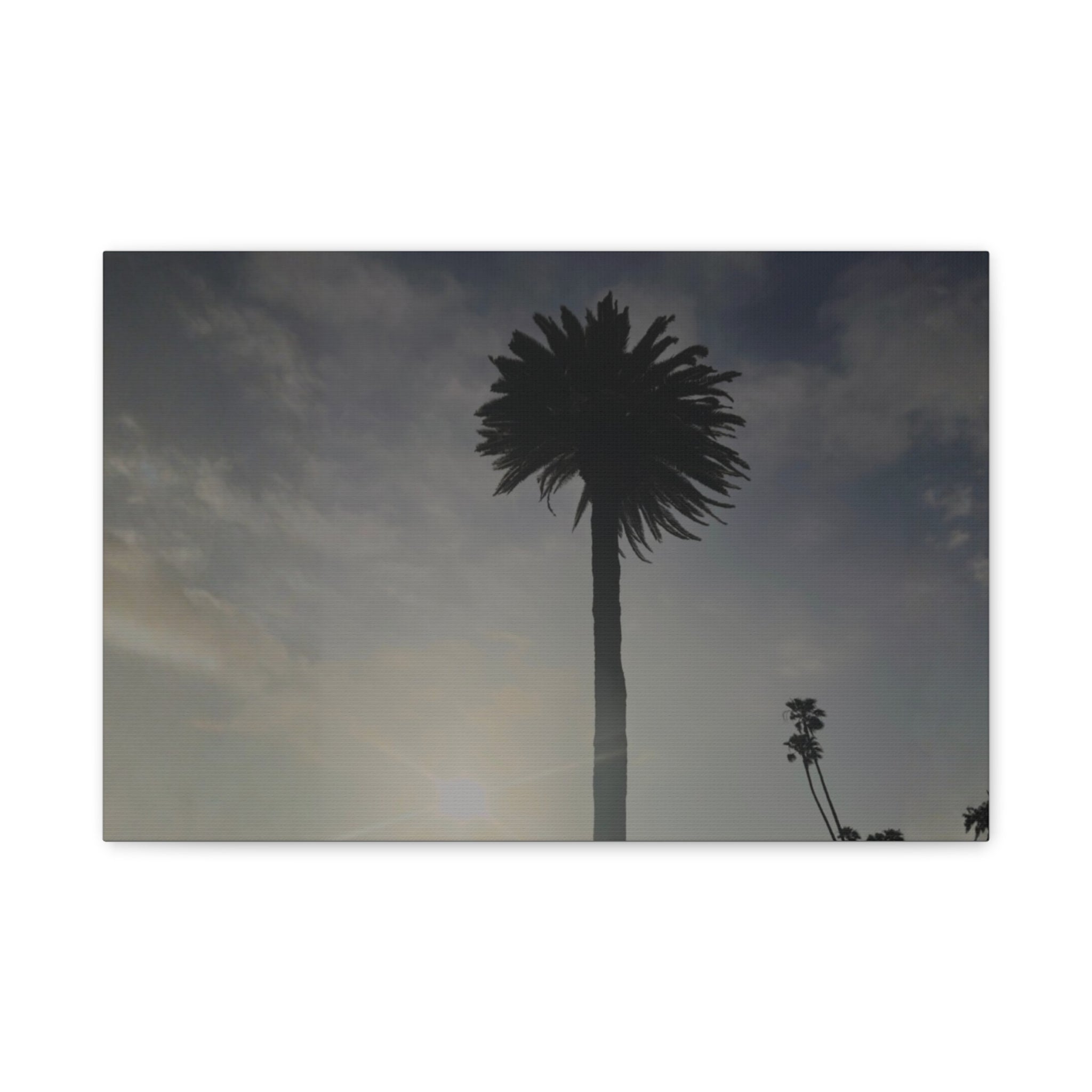 Palm Tree Canvas Print