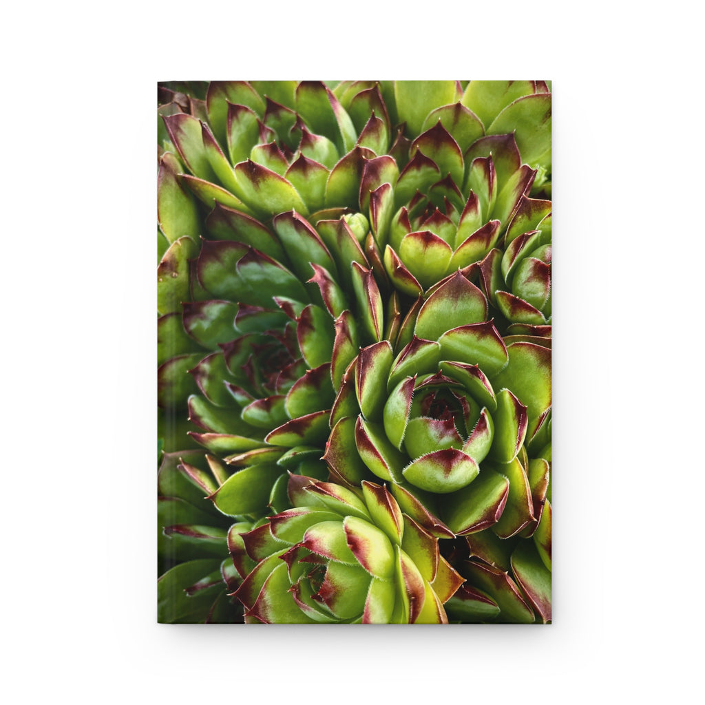 Succulent Garden Hardcover Journal
