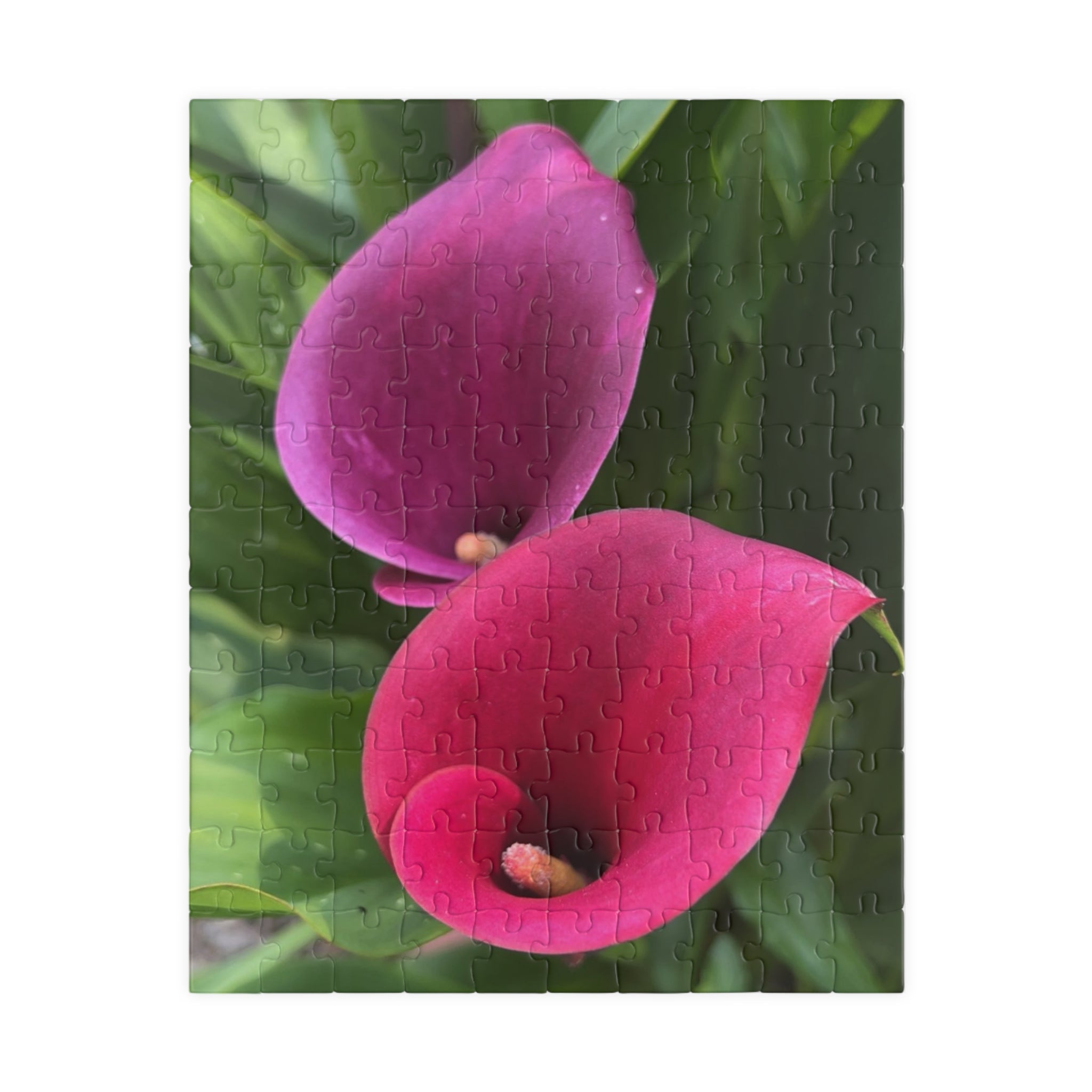 Two Pink Calla Lilies Jigsaw Puzzle