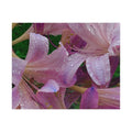 Rainy Pink Lilies Jigsaw Puzzle