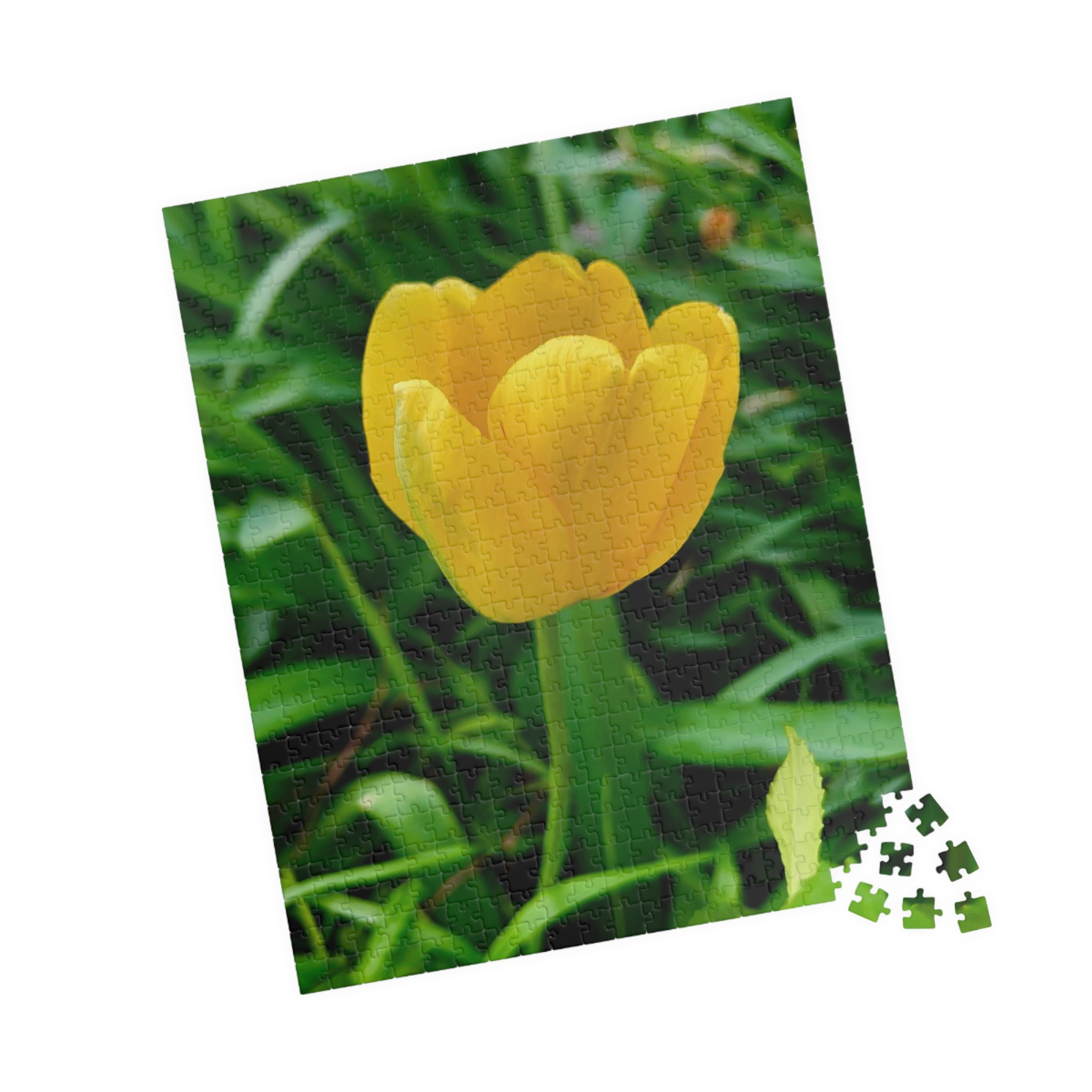 Yellow Tulip Jigsaw Puzzle
