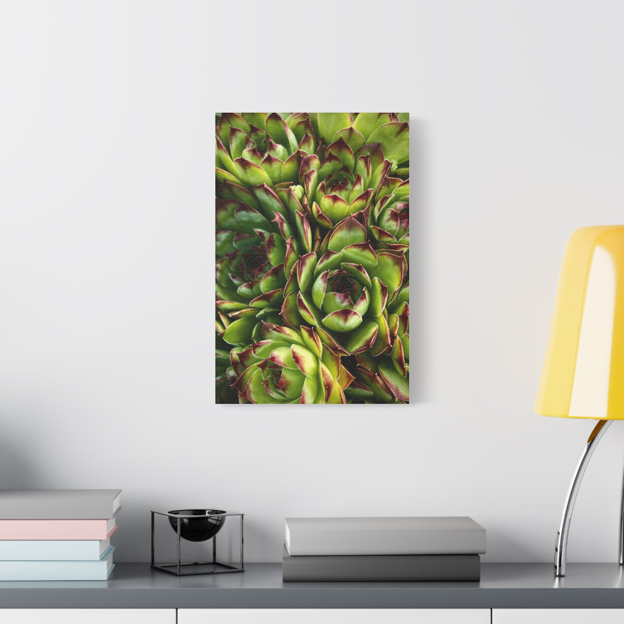 Succulent Garden Canvas Print