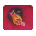 Sleeping Bee Mouse Pad