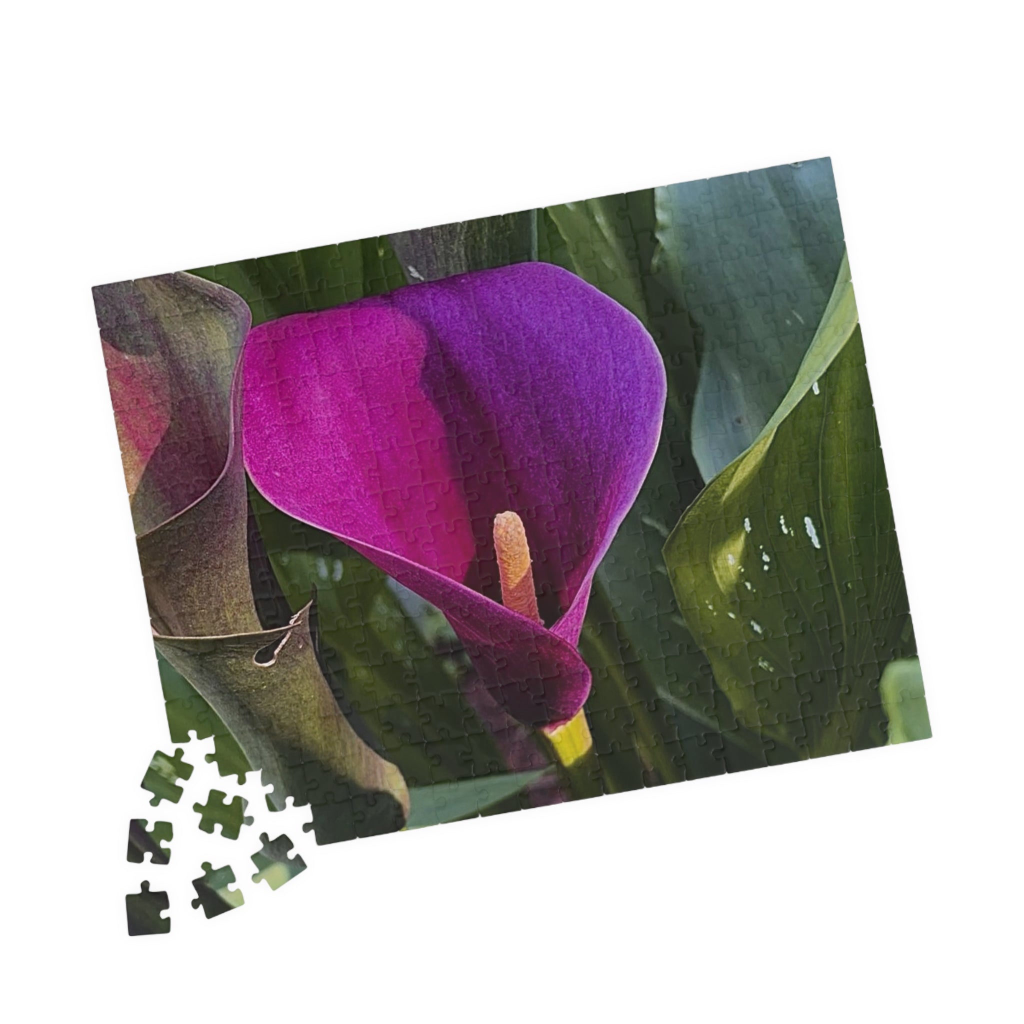 Purple Calla Lily Jigsaw Puzzle