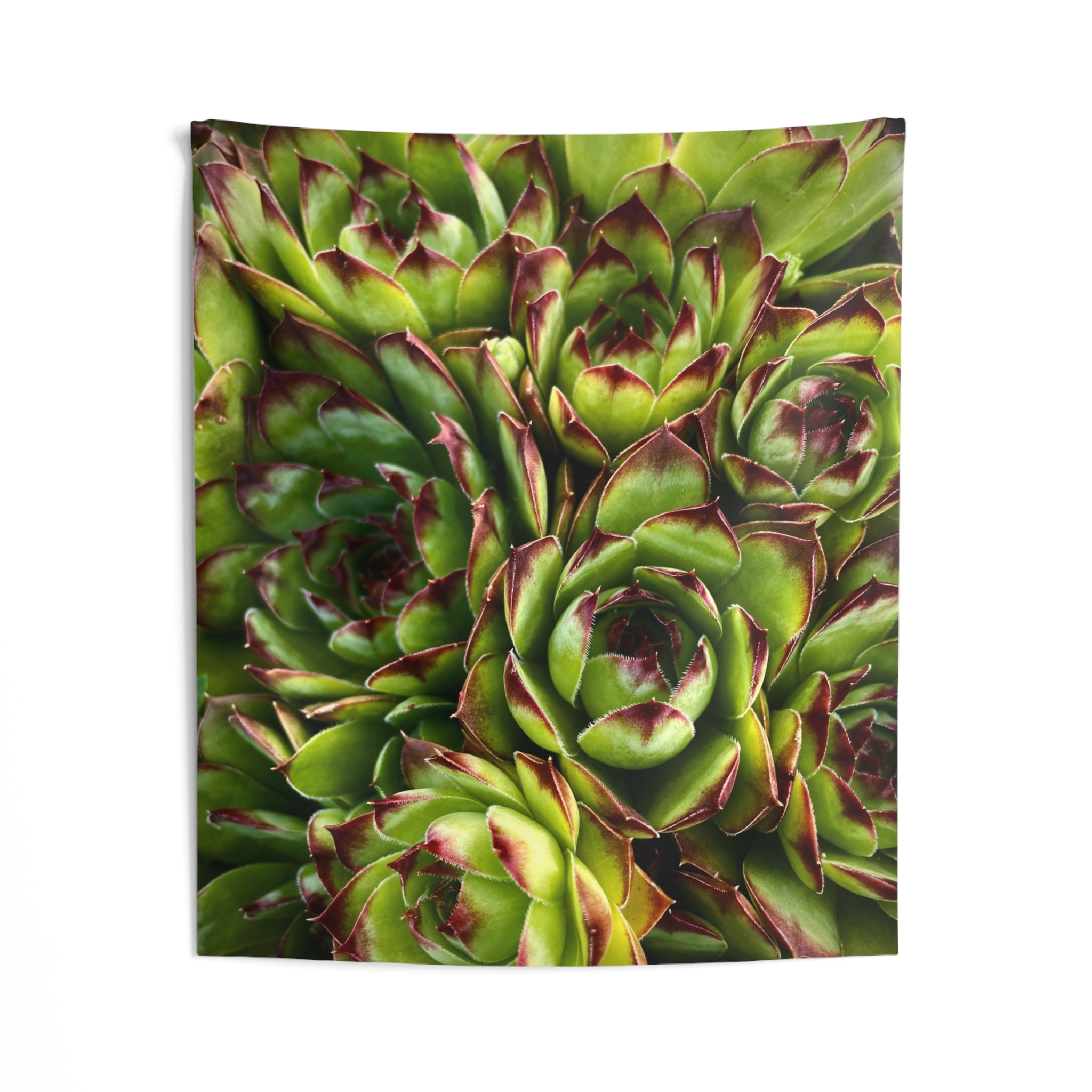 Succulent Garden Tapestry