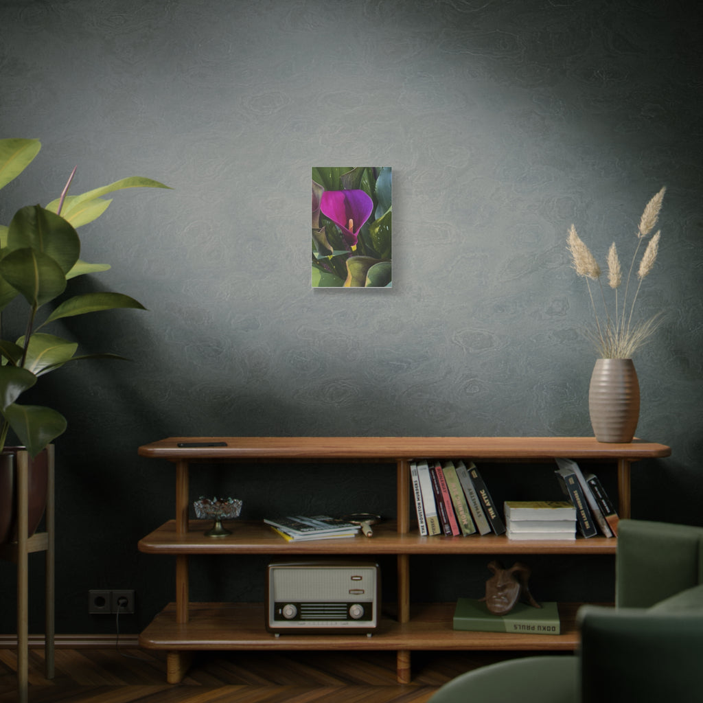 Purple Calla Lily Canvas Print