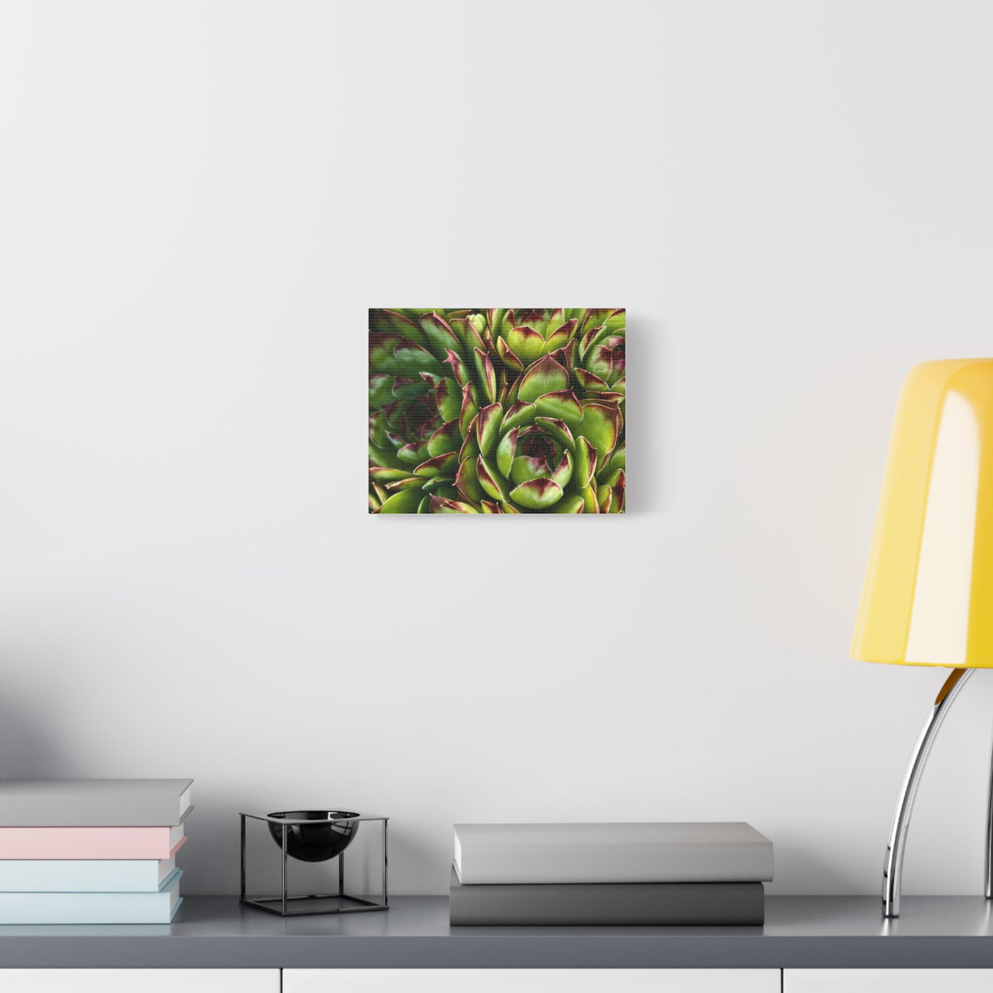 Succulent Garden Canvas Print