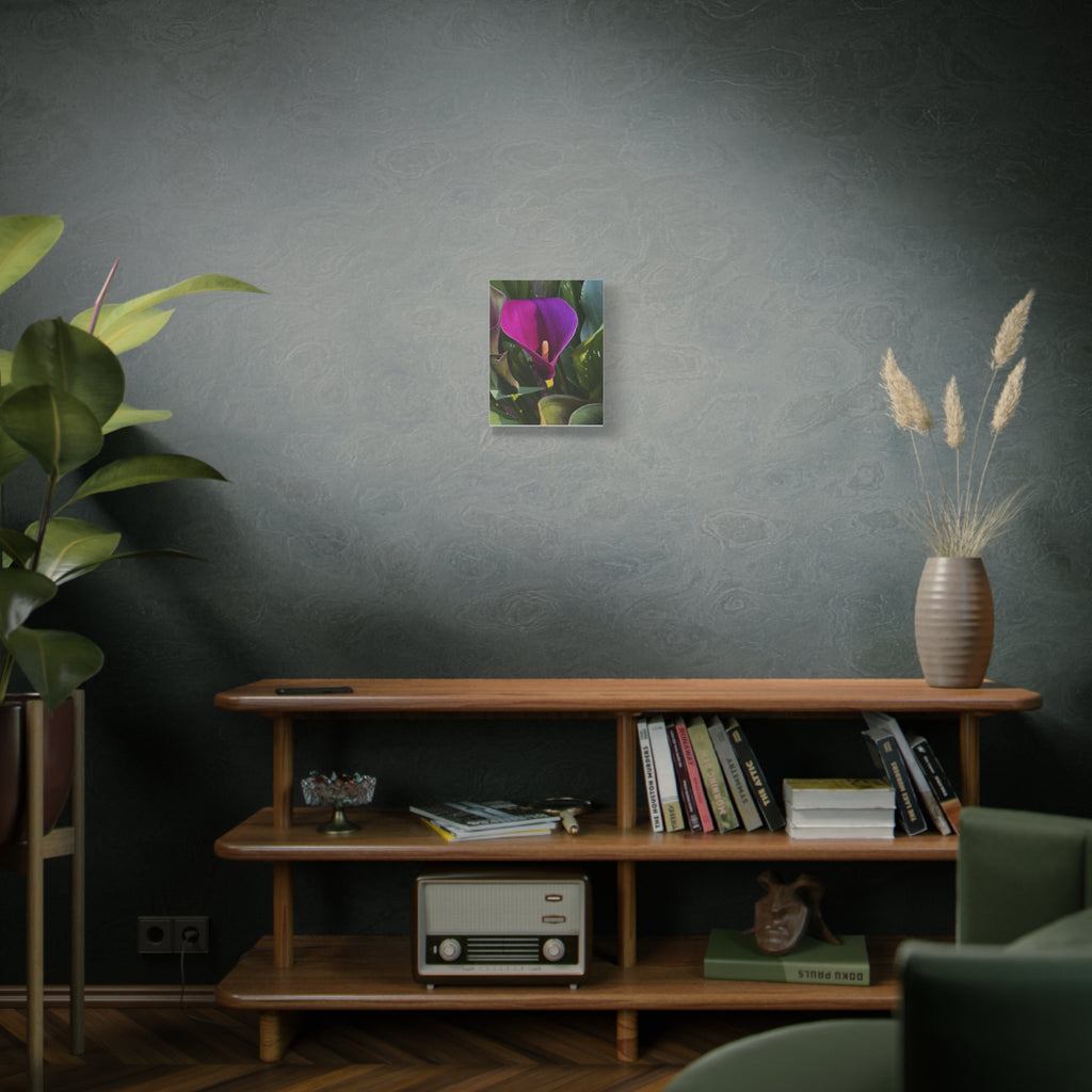 Purple Calla Lily Canvas Print