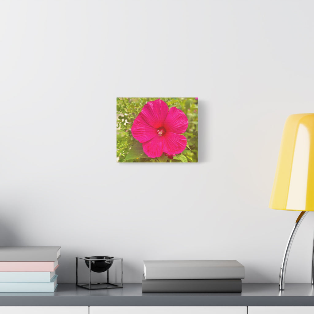 Hot Pink Hibiscus Canvas Print