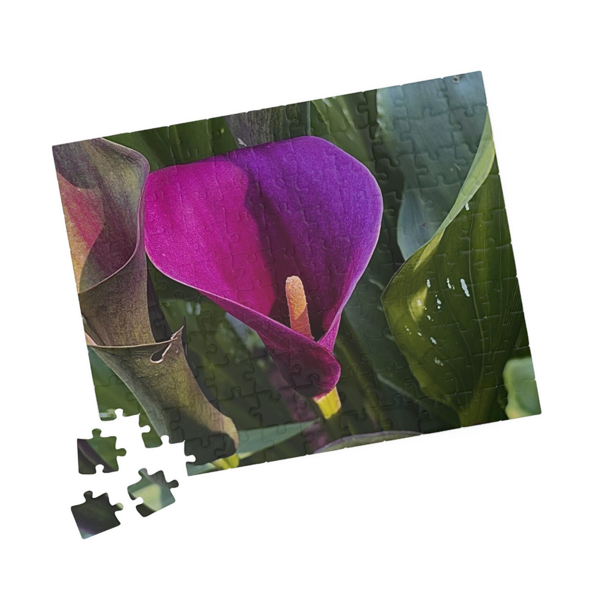 Purple Calla Lily Jigsaw Puzzle
