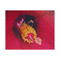 Sleeping Bee Jigsaw Puzzle