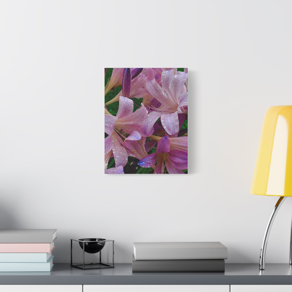 Rainy Pink Lilies Canvas Print